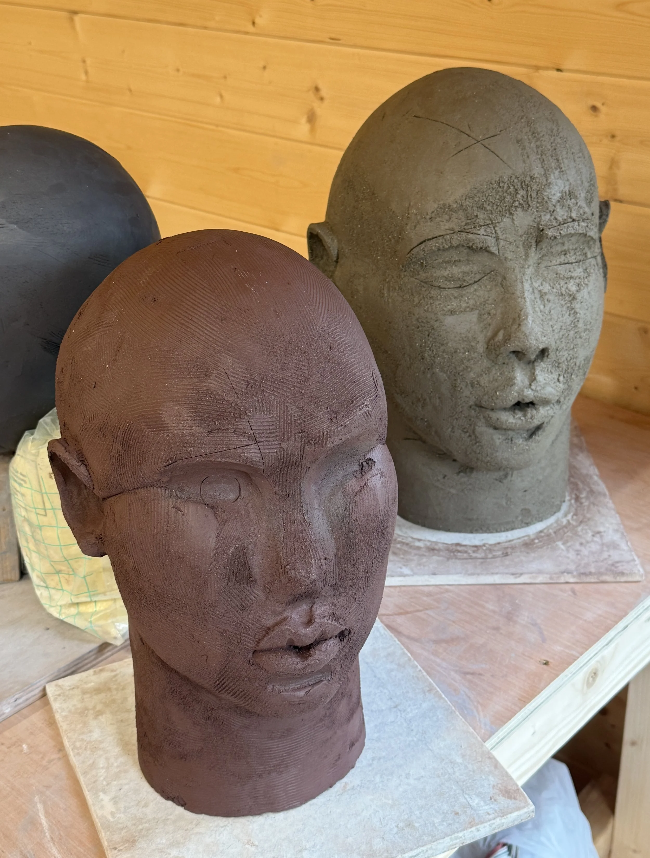 Tawny Phillips - Large garden heads drying out