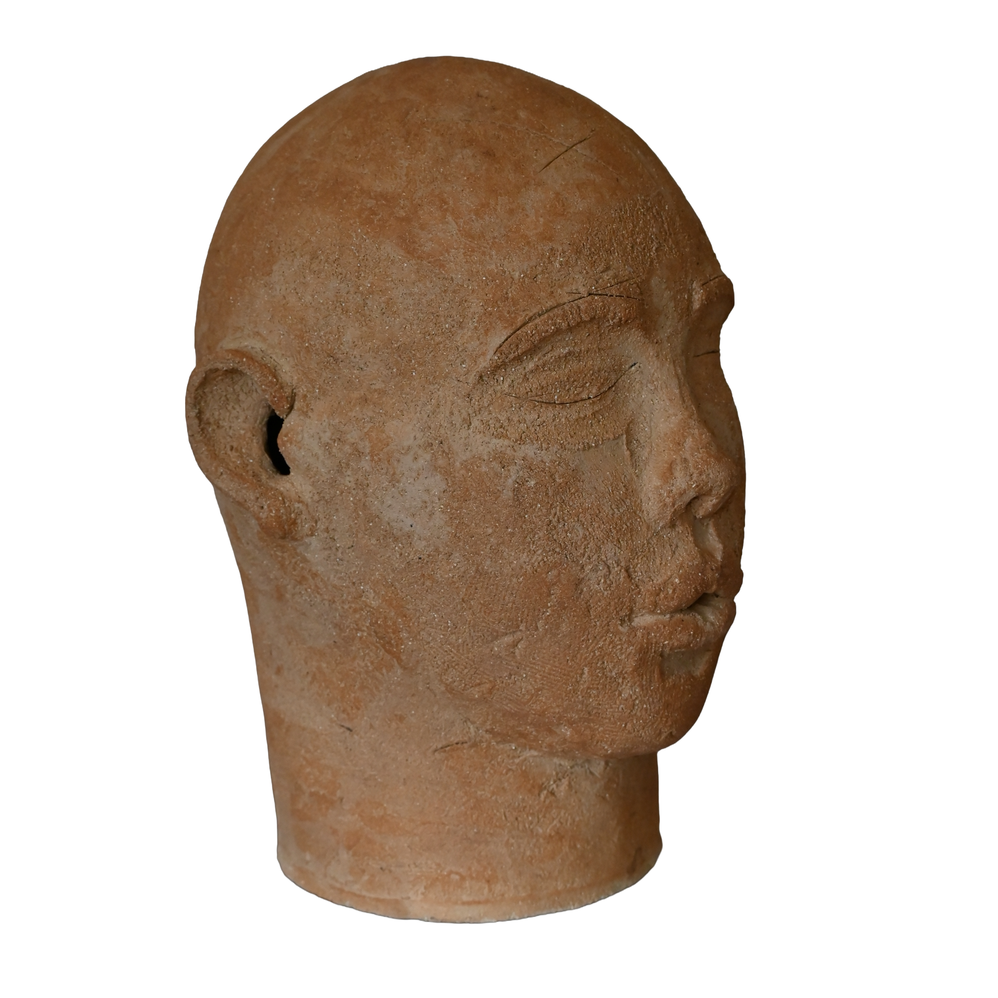 Tawny Phillips - large coiled head.png