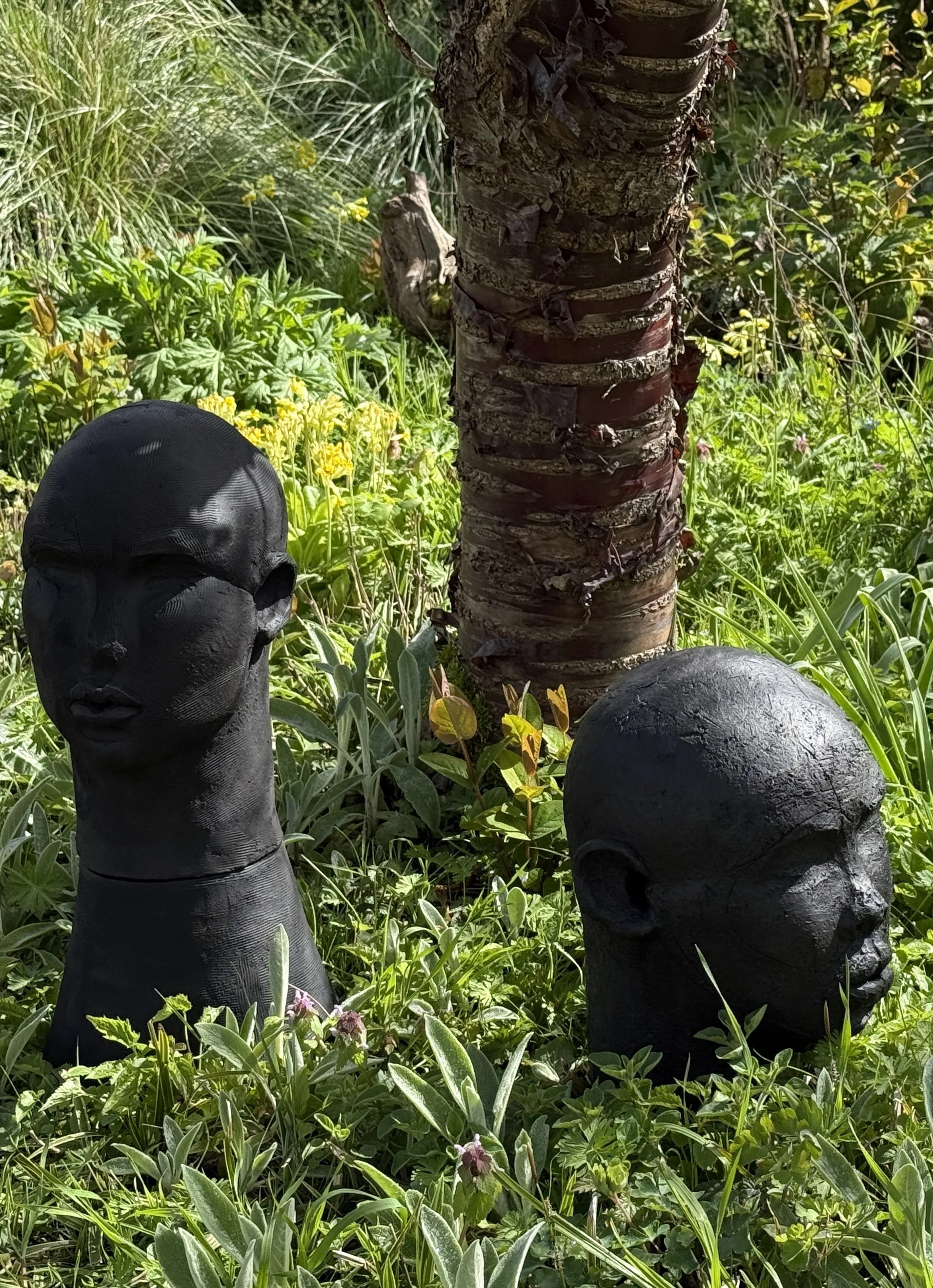 Tawny Phillips - large coiled heads in black clay in garden.JPG