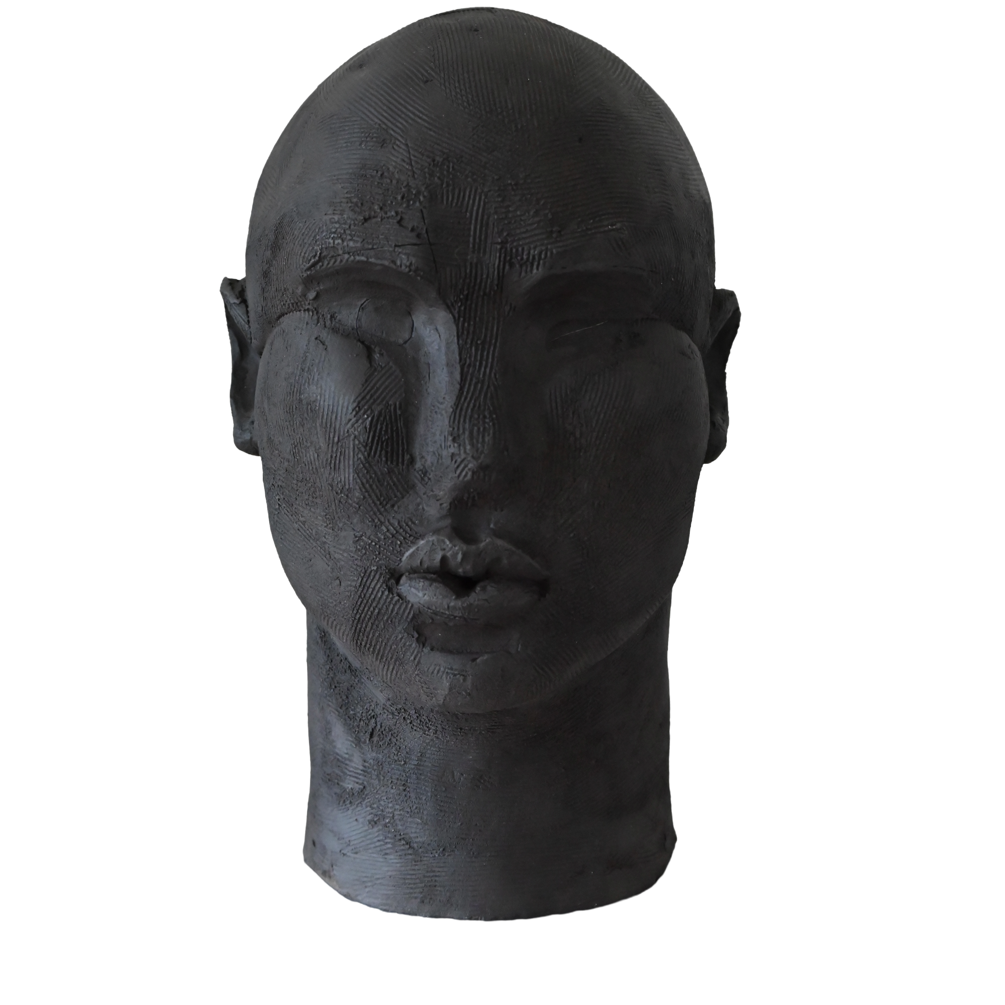 Tawny Phillips - large coiled black head.png
