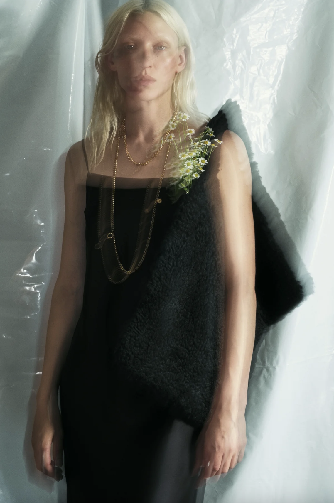 Anne Vest4.png