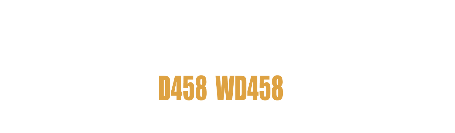 Mt Wedge Dorpers