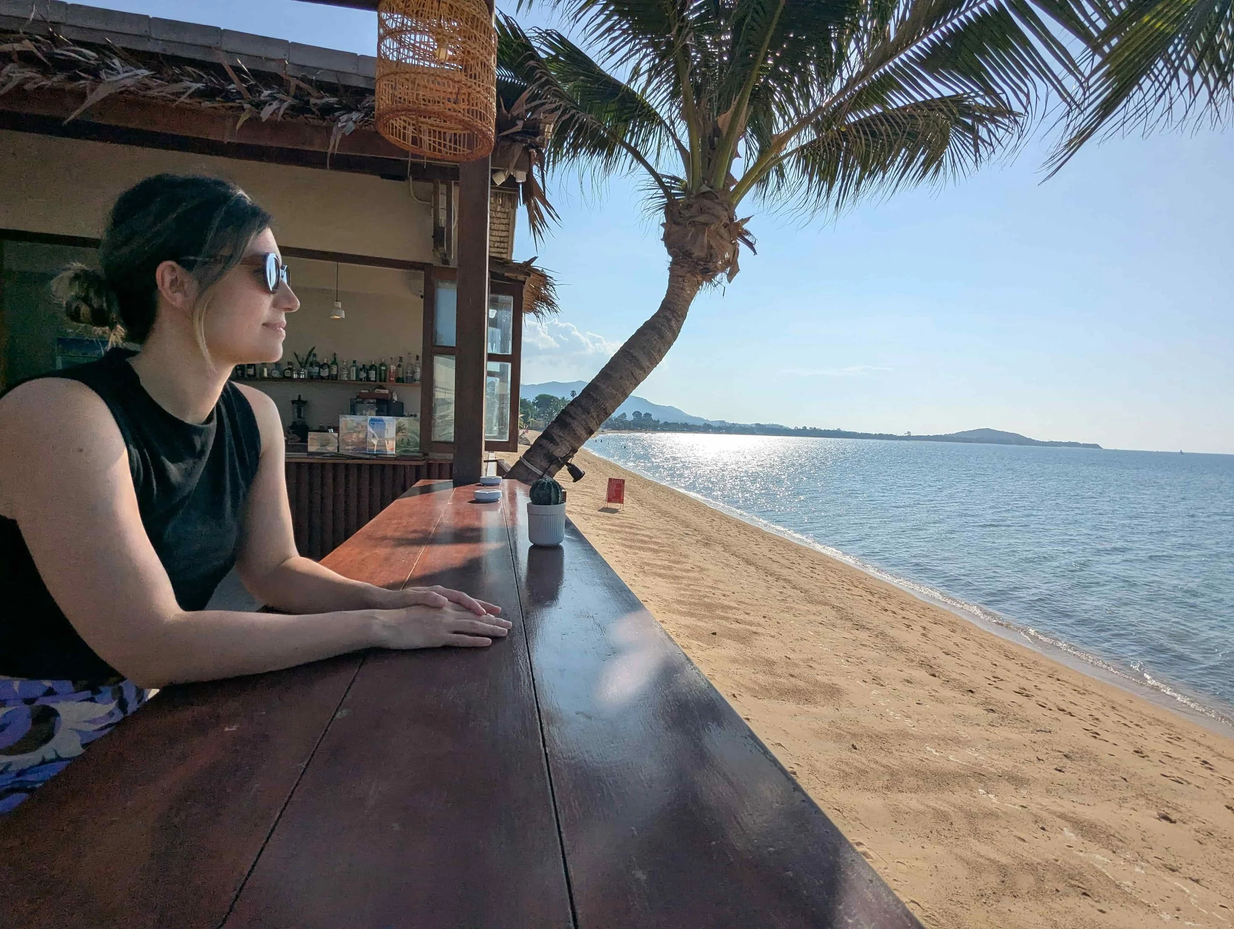 Woman looking at the ocean with a palm tree in the background