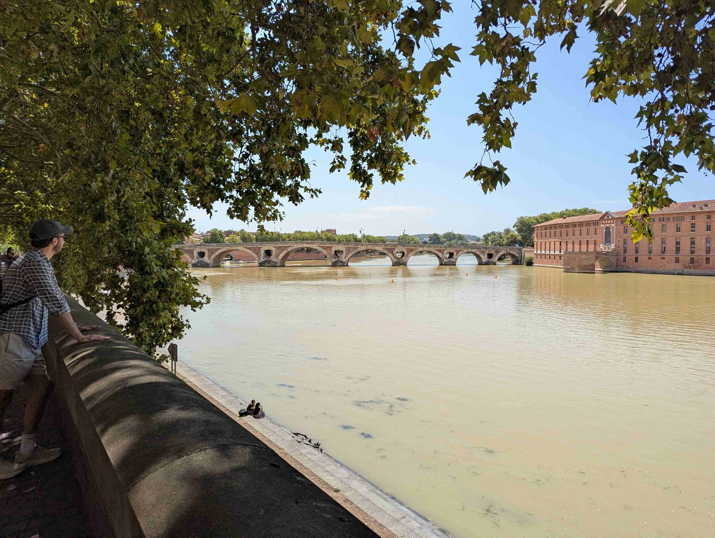 View on the river Garonne and the pont Neuf in Toulouse
