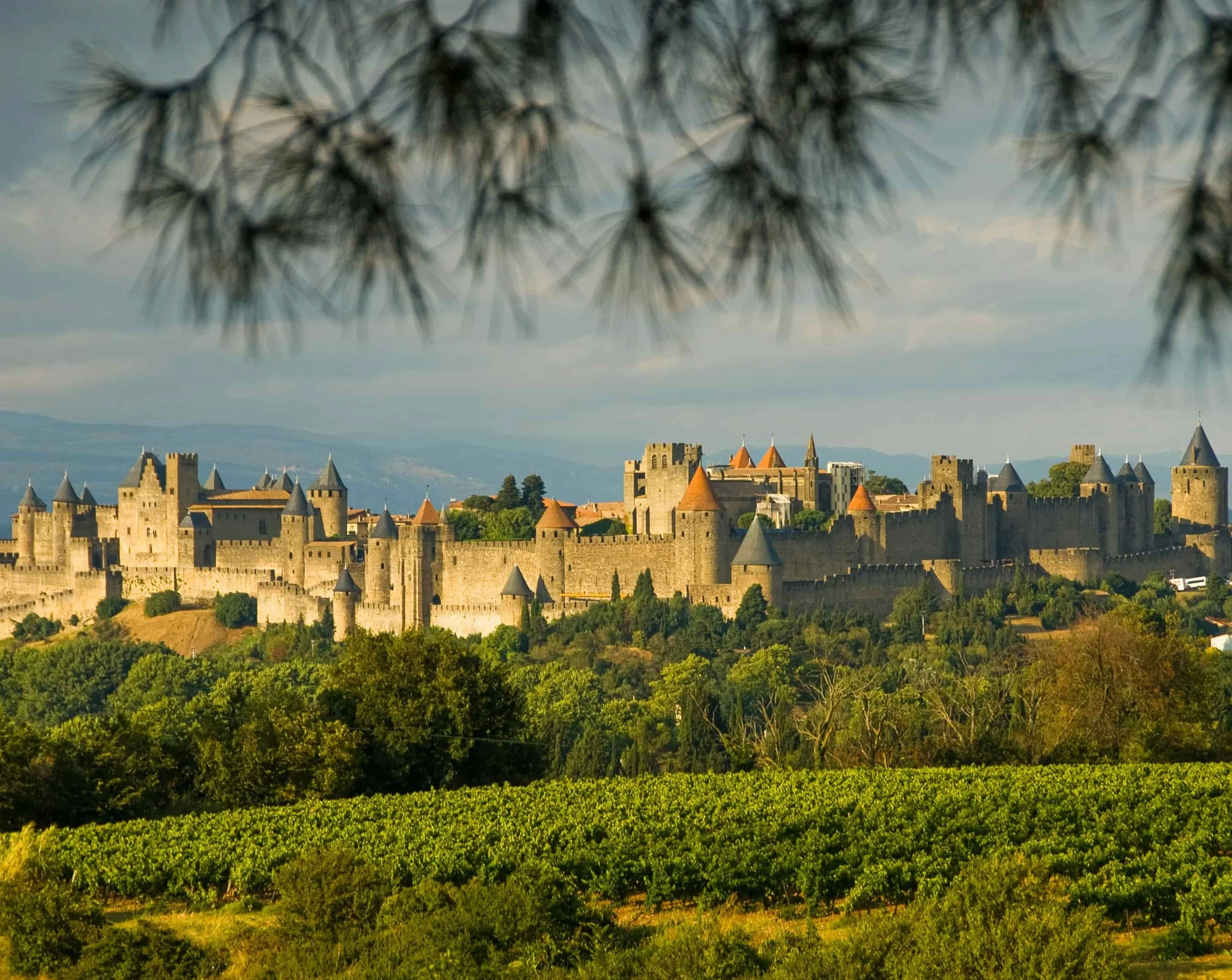 View on the castle in Carcassonne a day trip from Toulouse