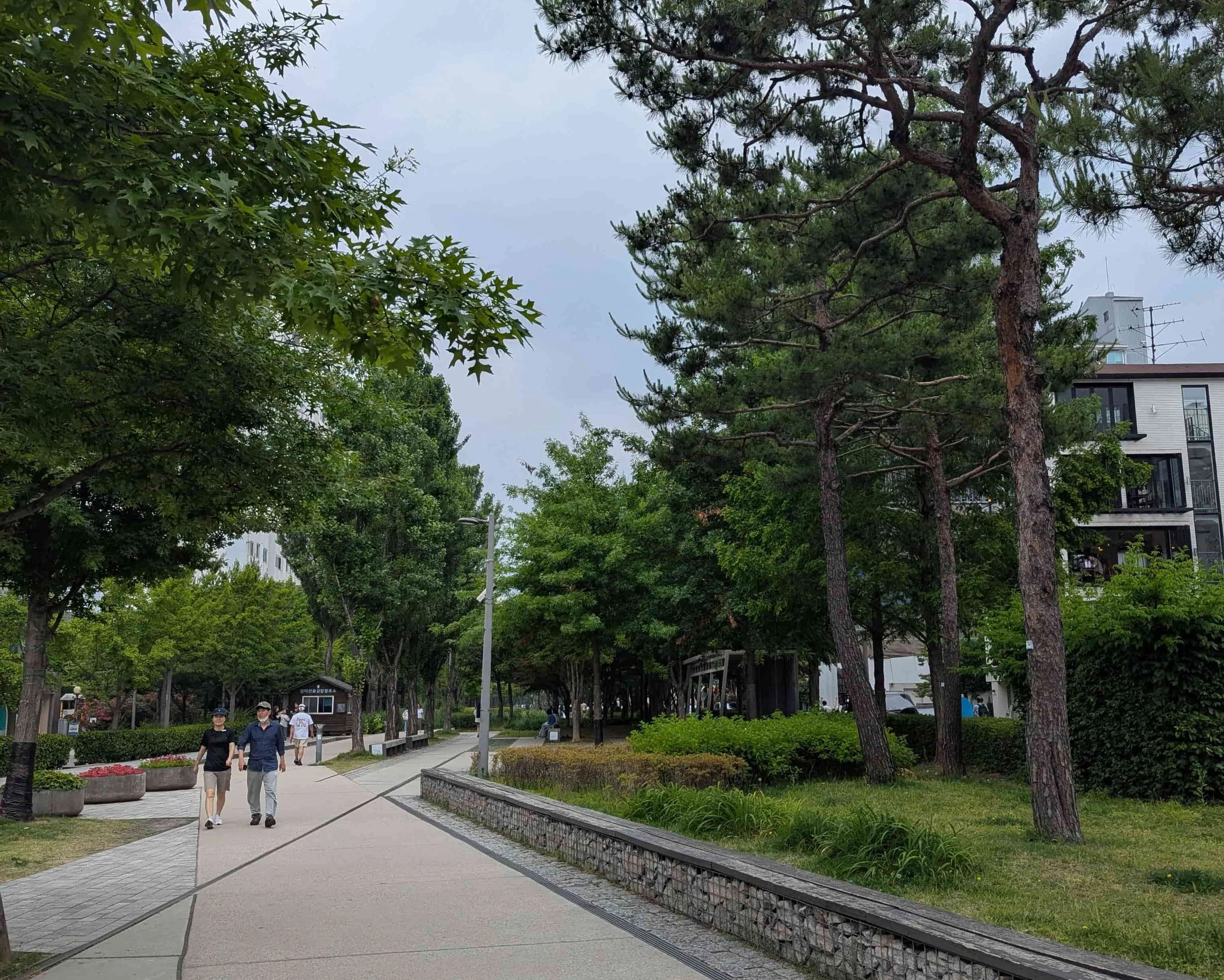 A walking path with trees on the side in Hongdae, Seoul