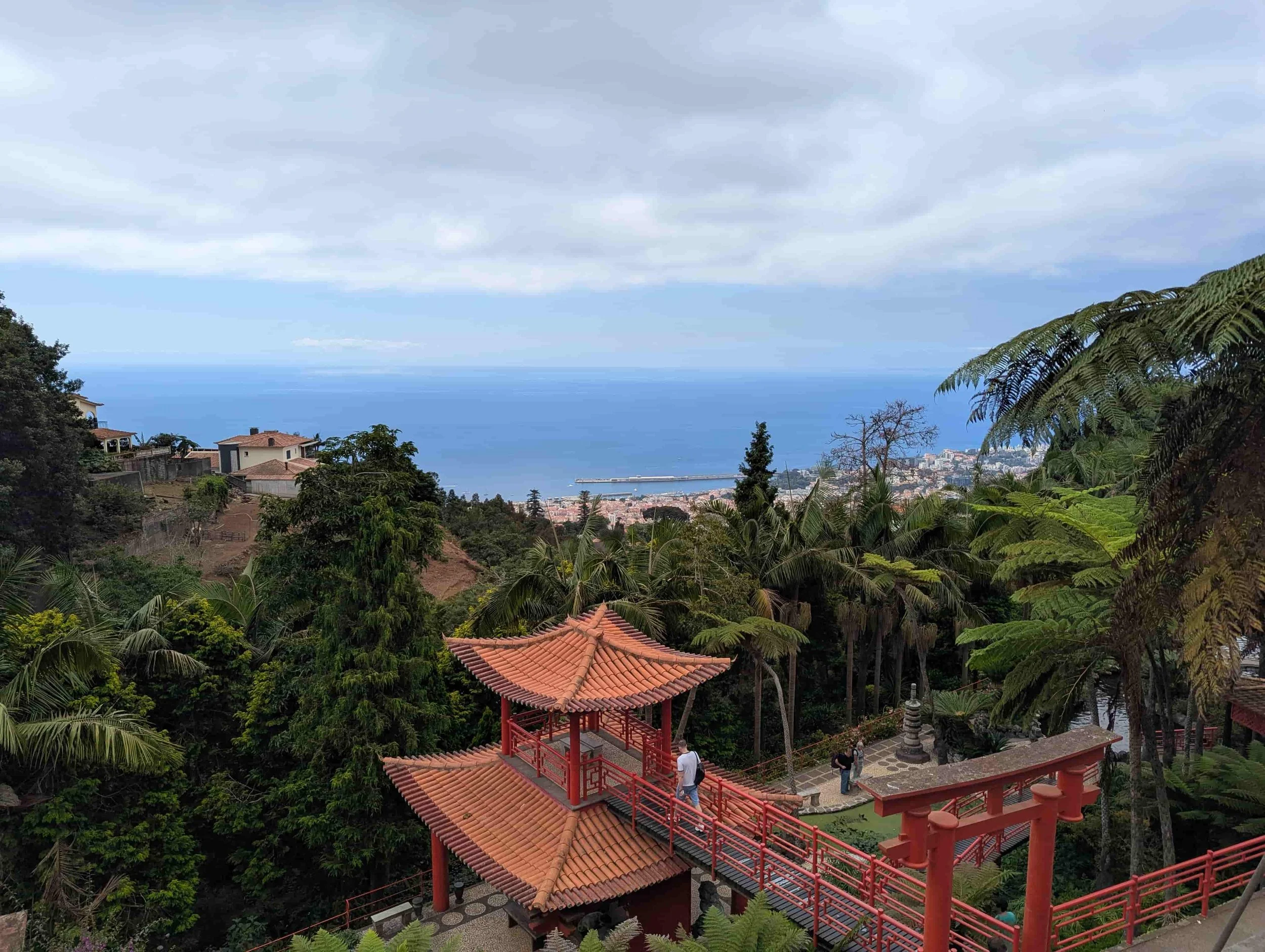 A view over the botanic gardens in Madeira with view on the sea and trees