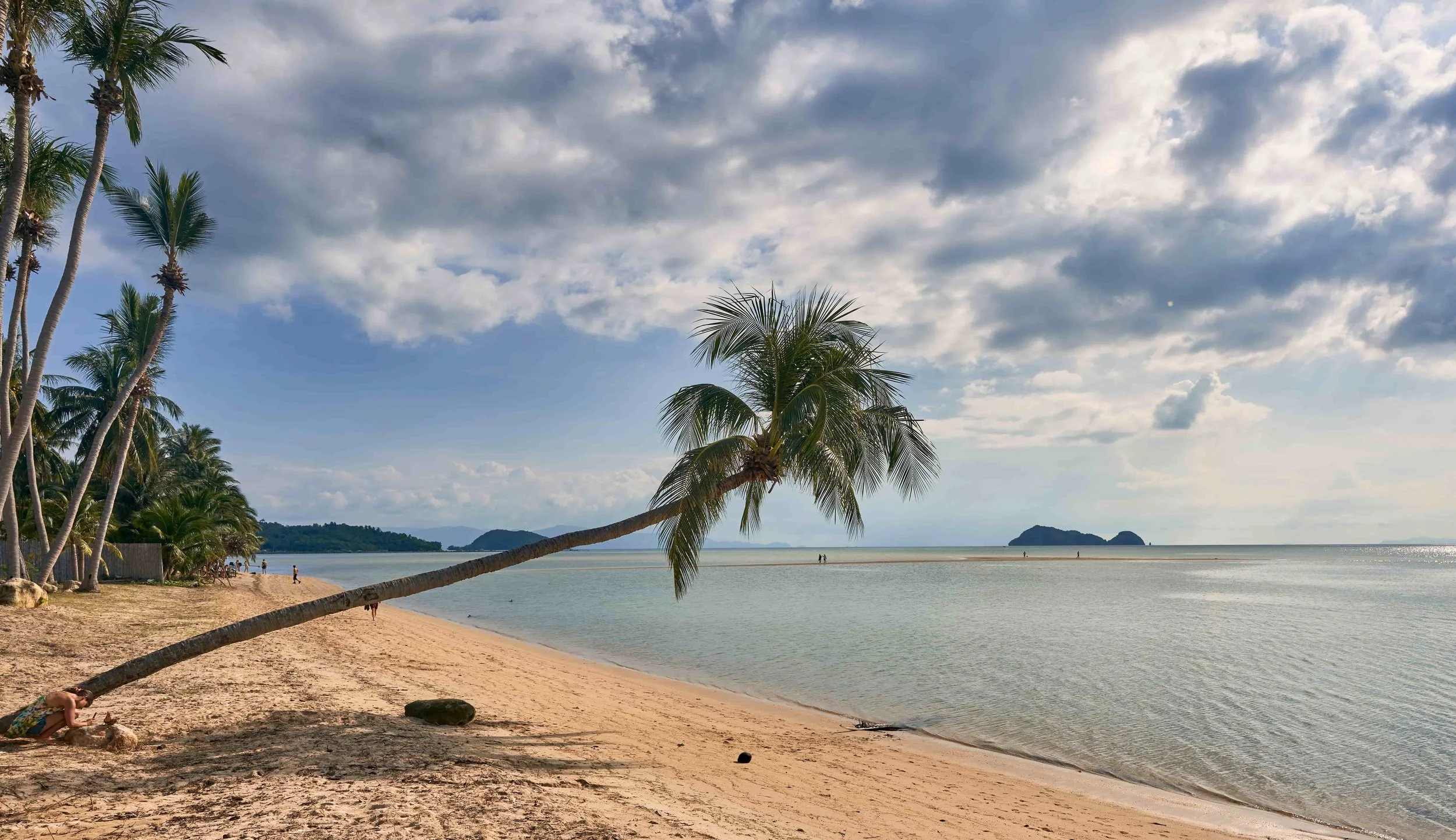 A beach with palm trees on Koh Phangan