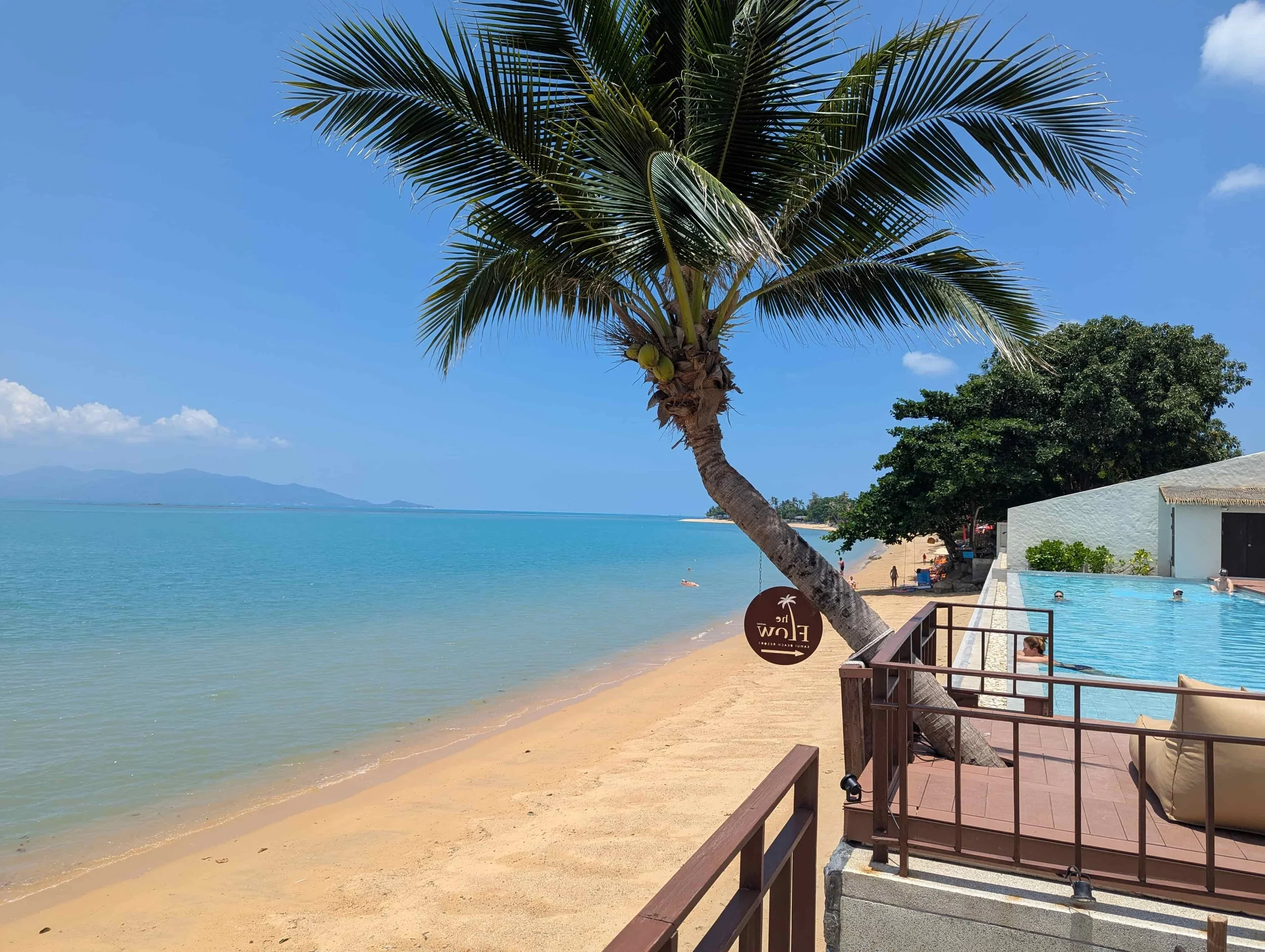 Beach, palm trees and a swimming pool on Koh Samui