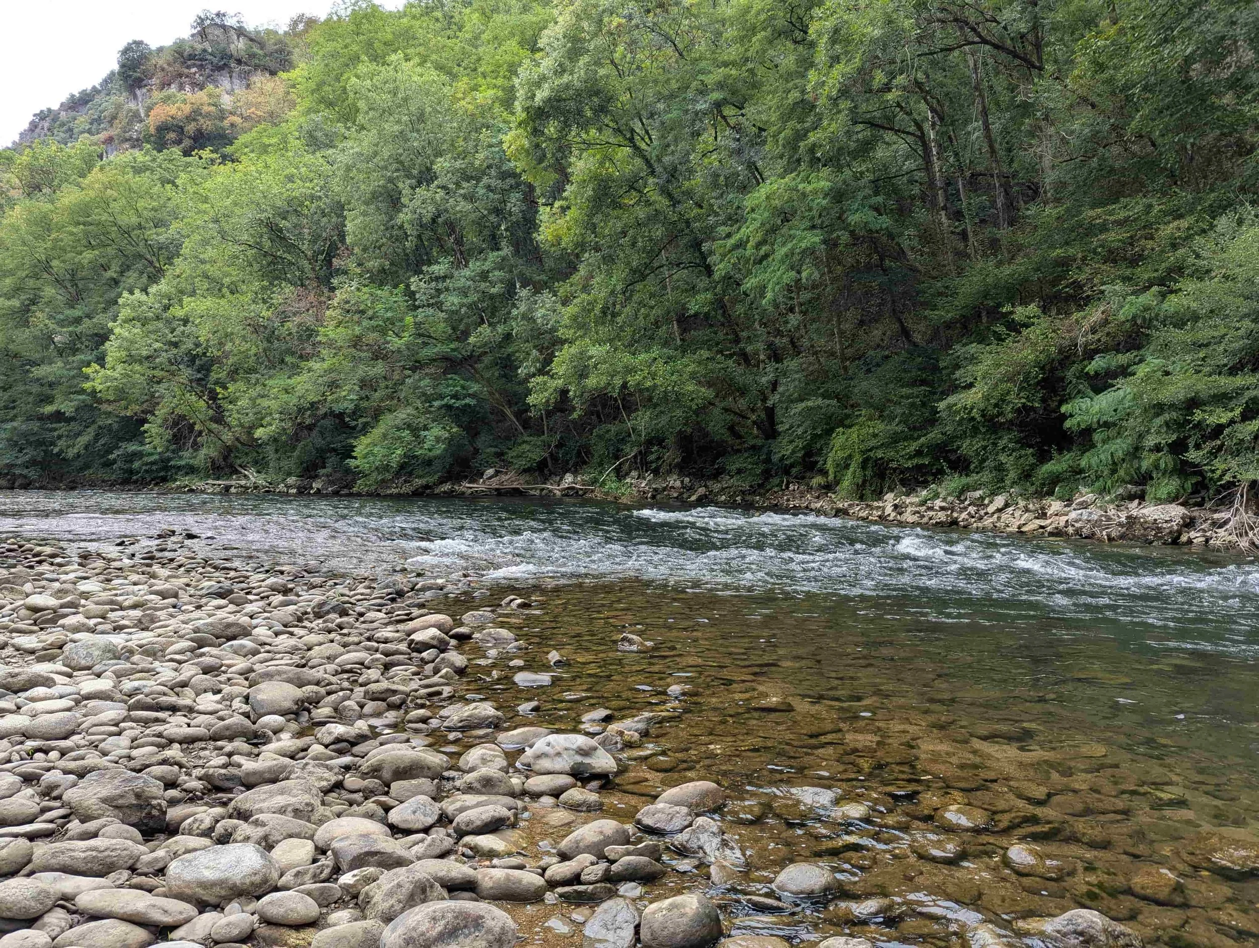 A river stream with rocks and surrounded by trees