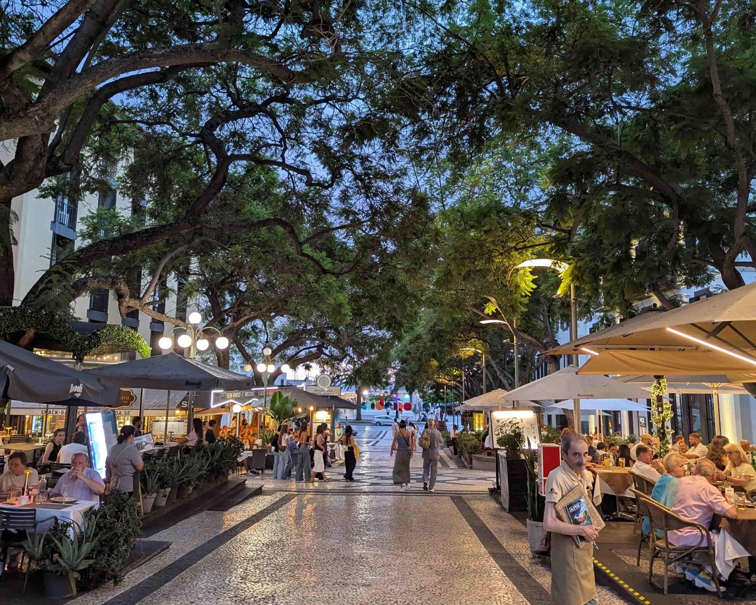 A street lined with trees and terraces in Funchal