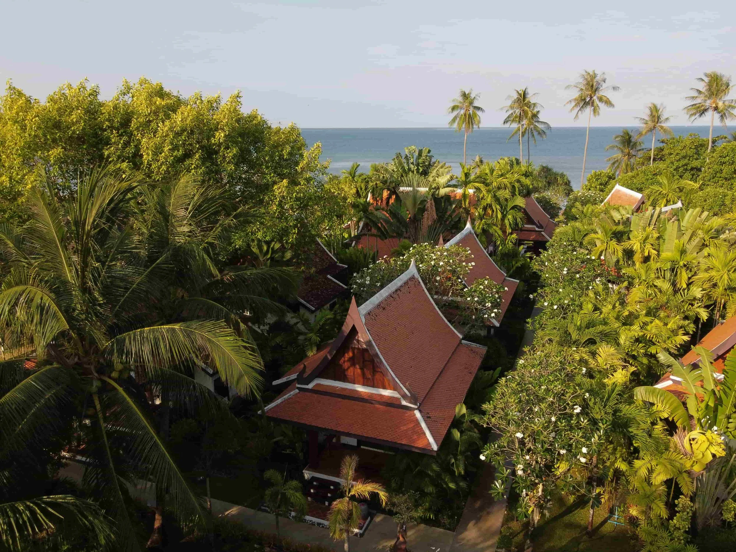 Aerial view on a Thai style house surrounded by green trees