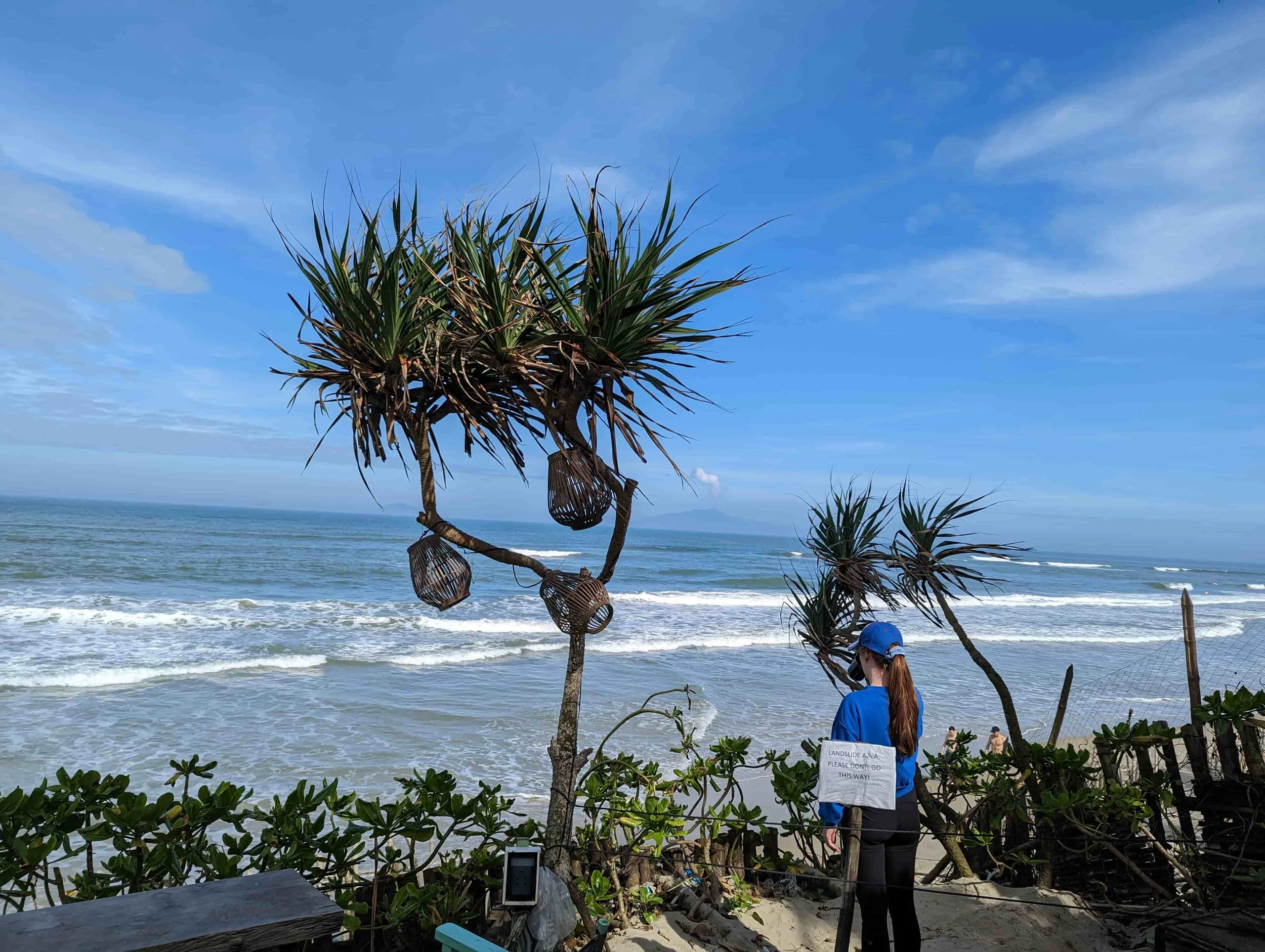 View on the beach and plants in Hoi An