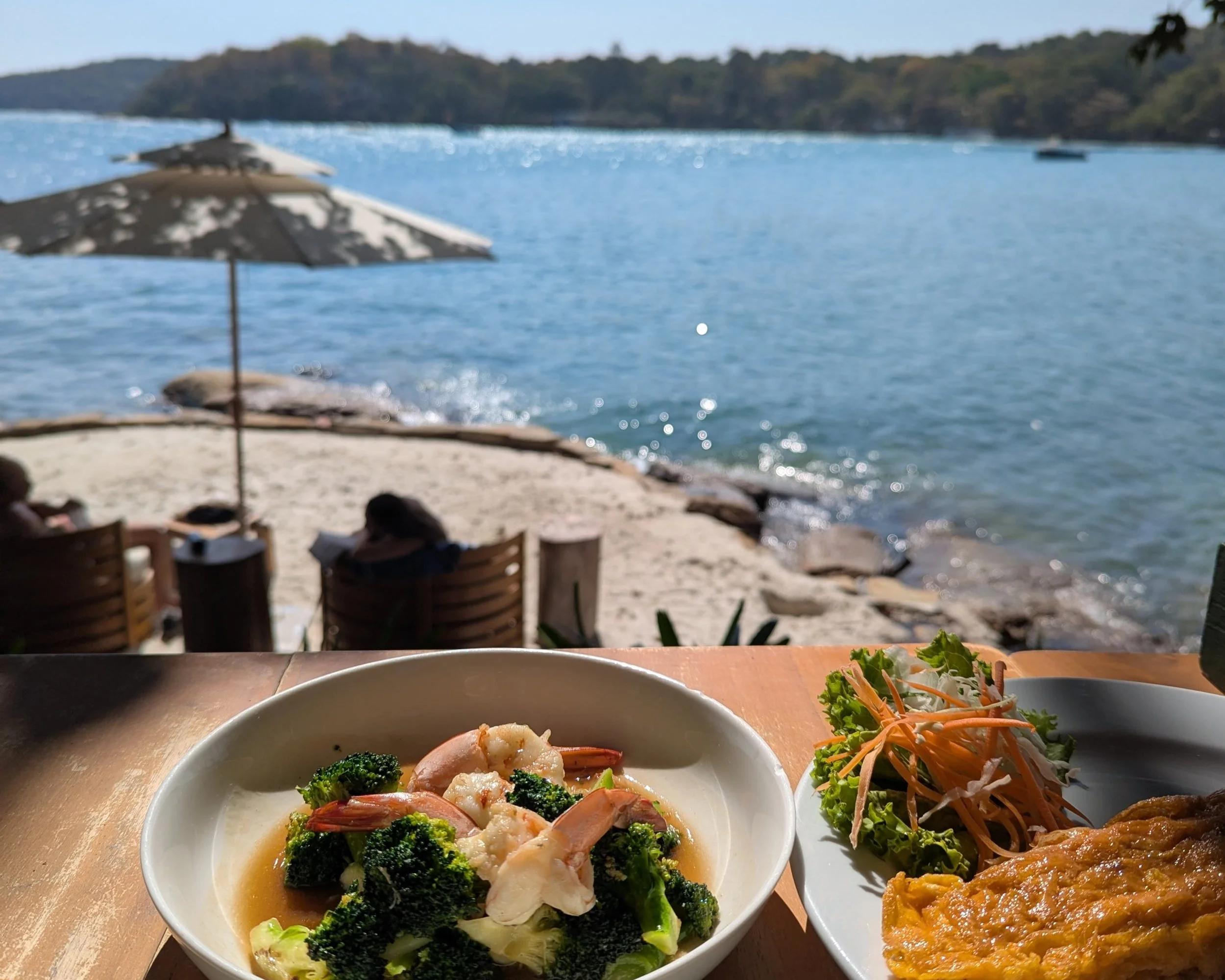 A plate of broccoli and shrimp with the sea in the background