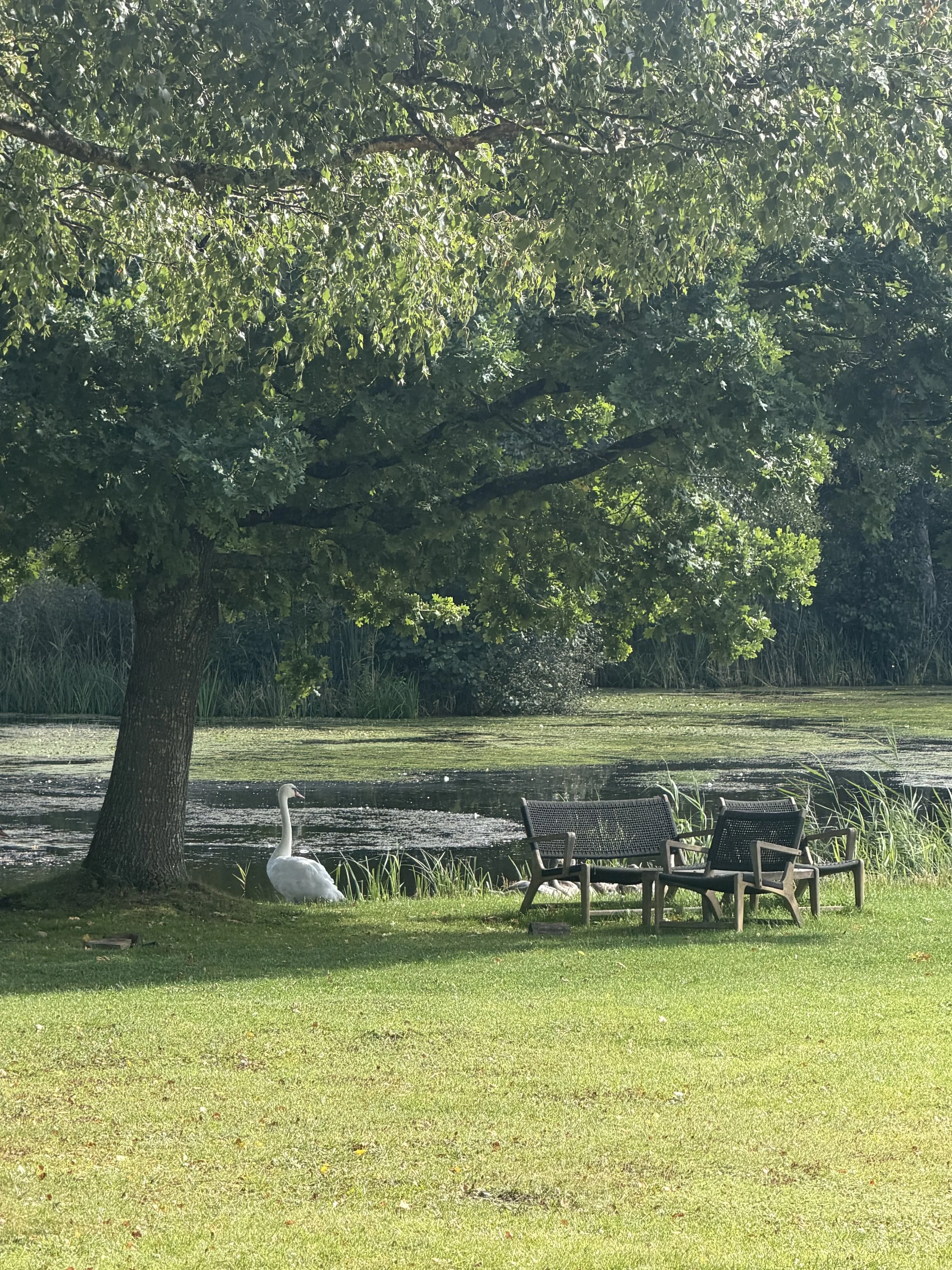 IMG_0612.jpeg
