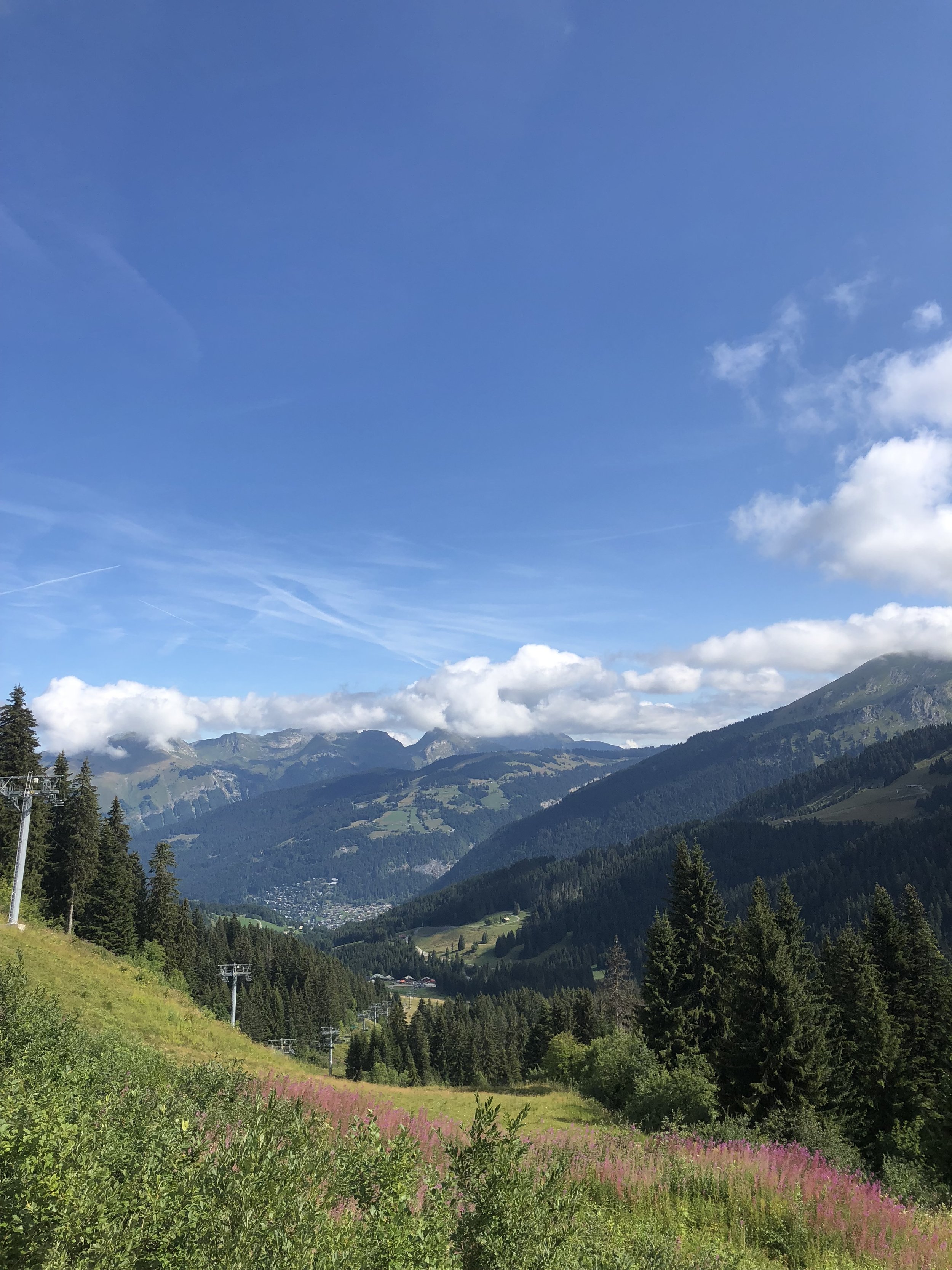 IMG_4780.jpeg