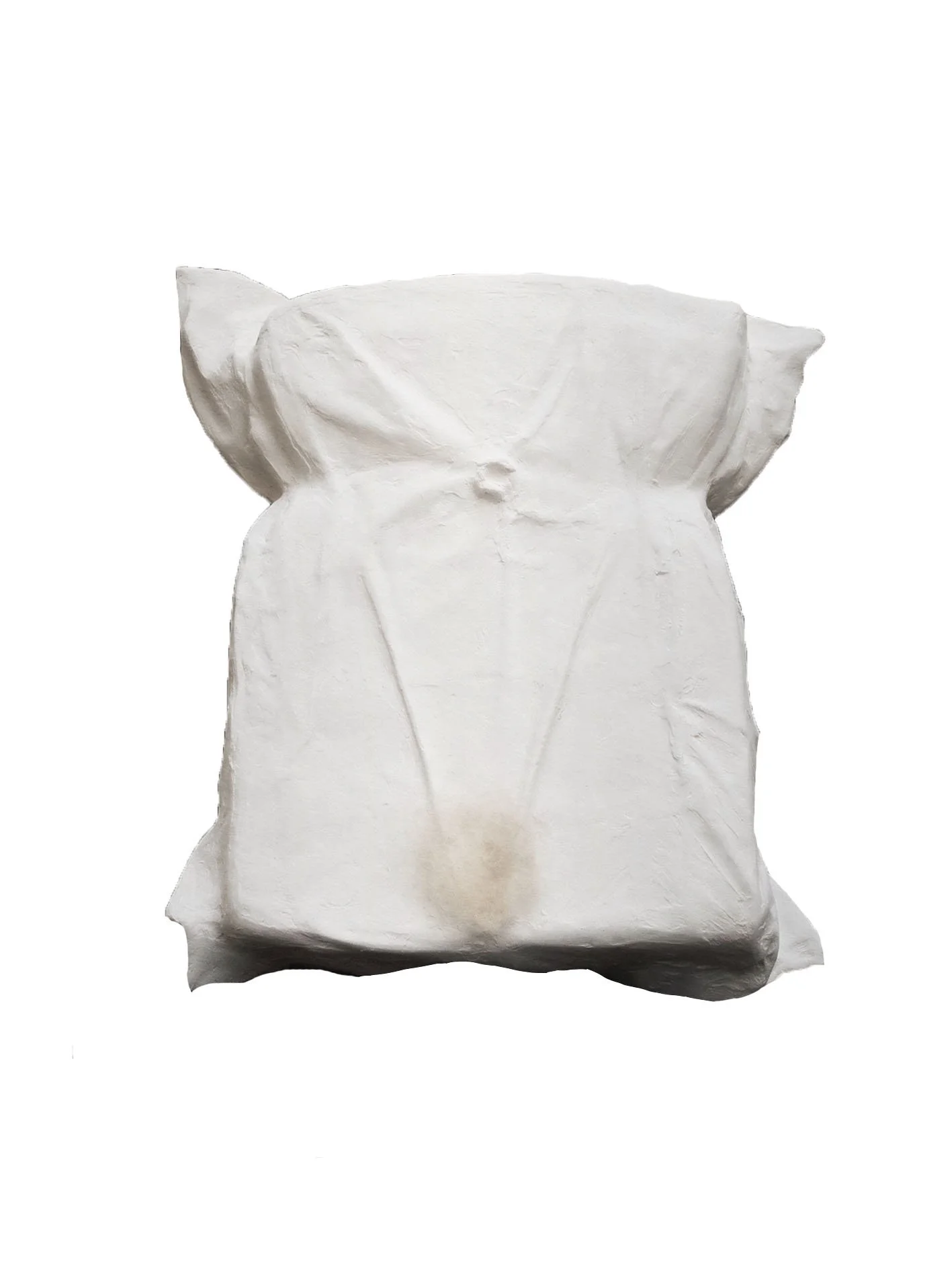 "soften, pubis" 2025, plaster, cotton pillowcase, foam pillow, human hair, 50x45cm