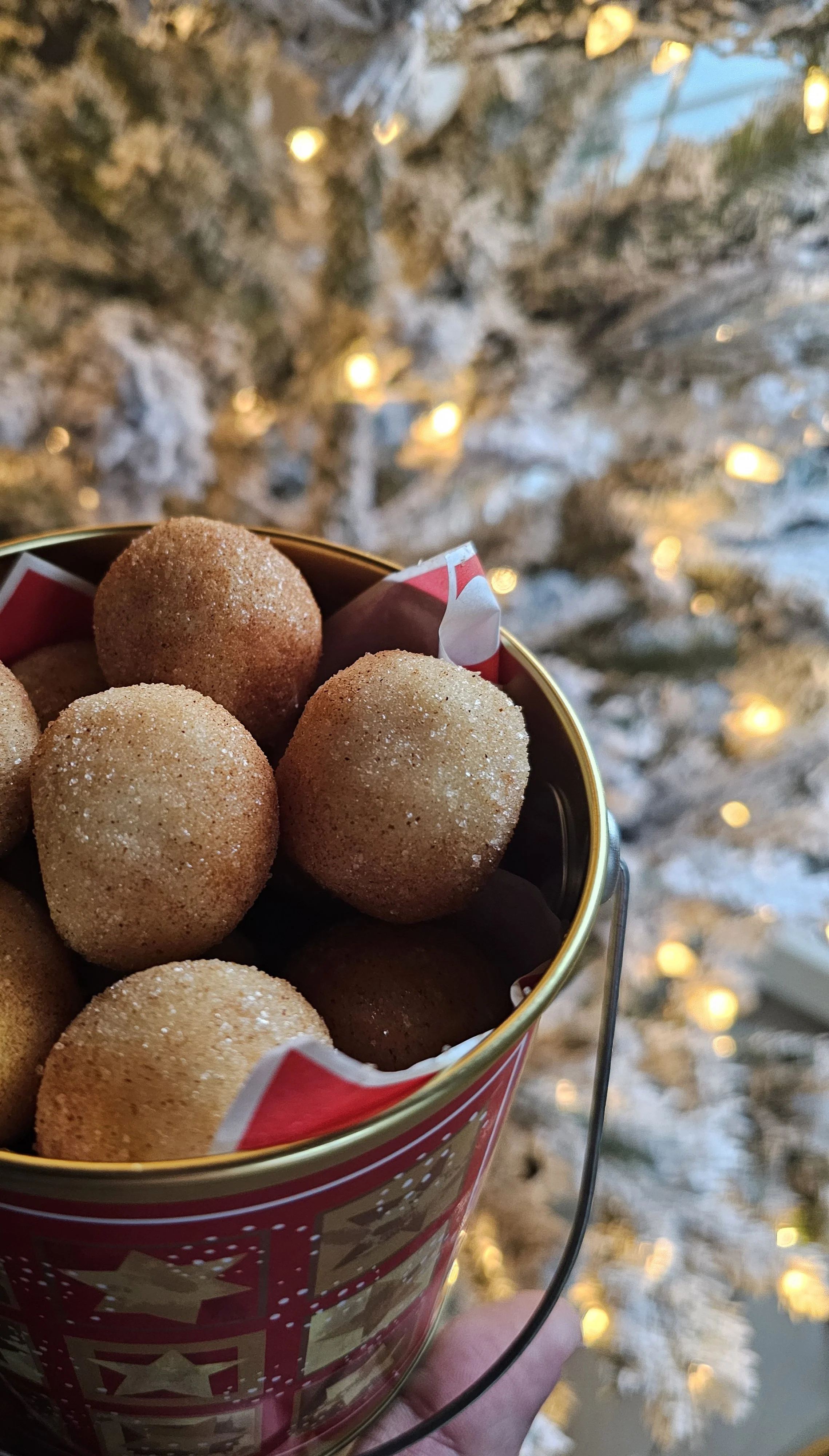 Snickerdoodle Cookie Dough