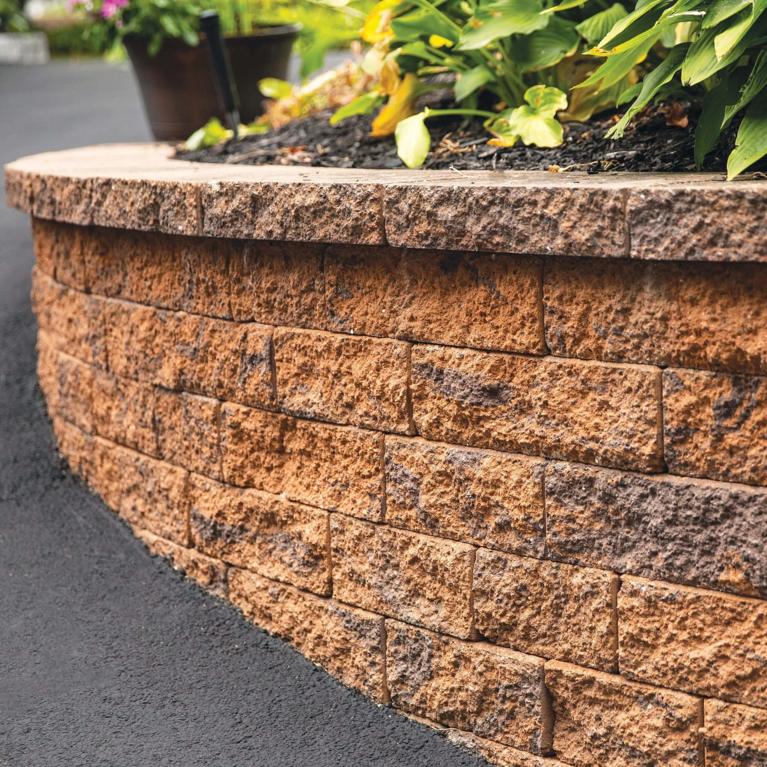 5-Colonial-Wall-•-Golden-Brown-Blend-scaled.jpg