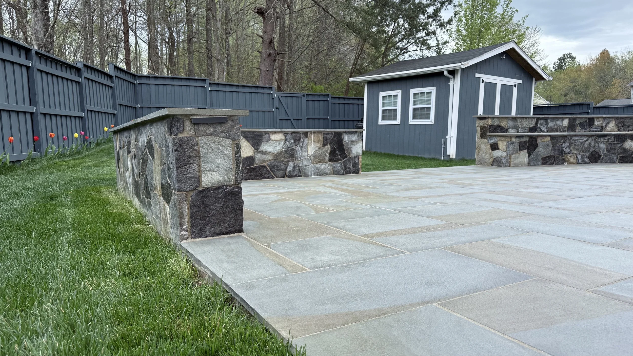 A backyard patio with stone walls and a gray shed, enclosed by a blue fence, with colorful tulips and grass in the background.