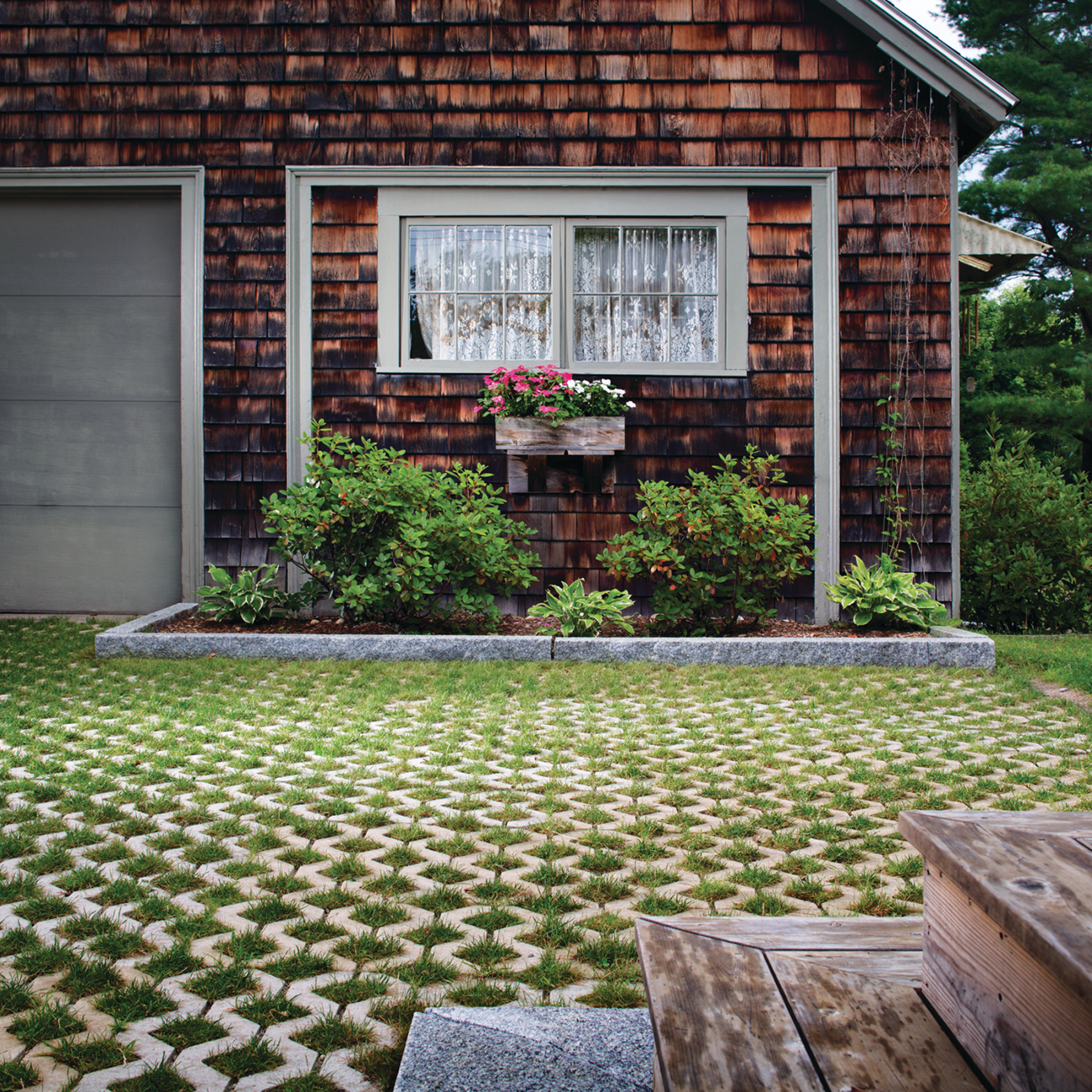 Turfstone_beauty003.png