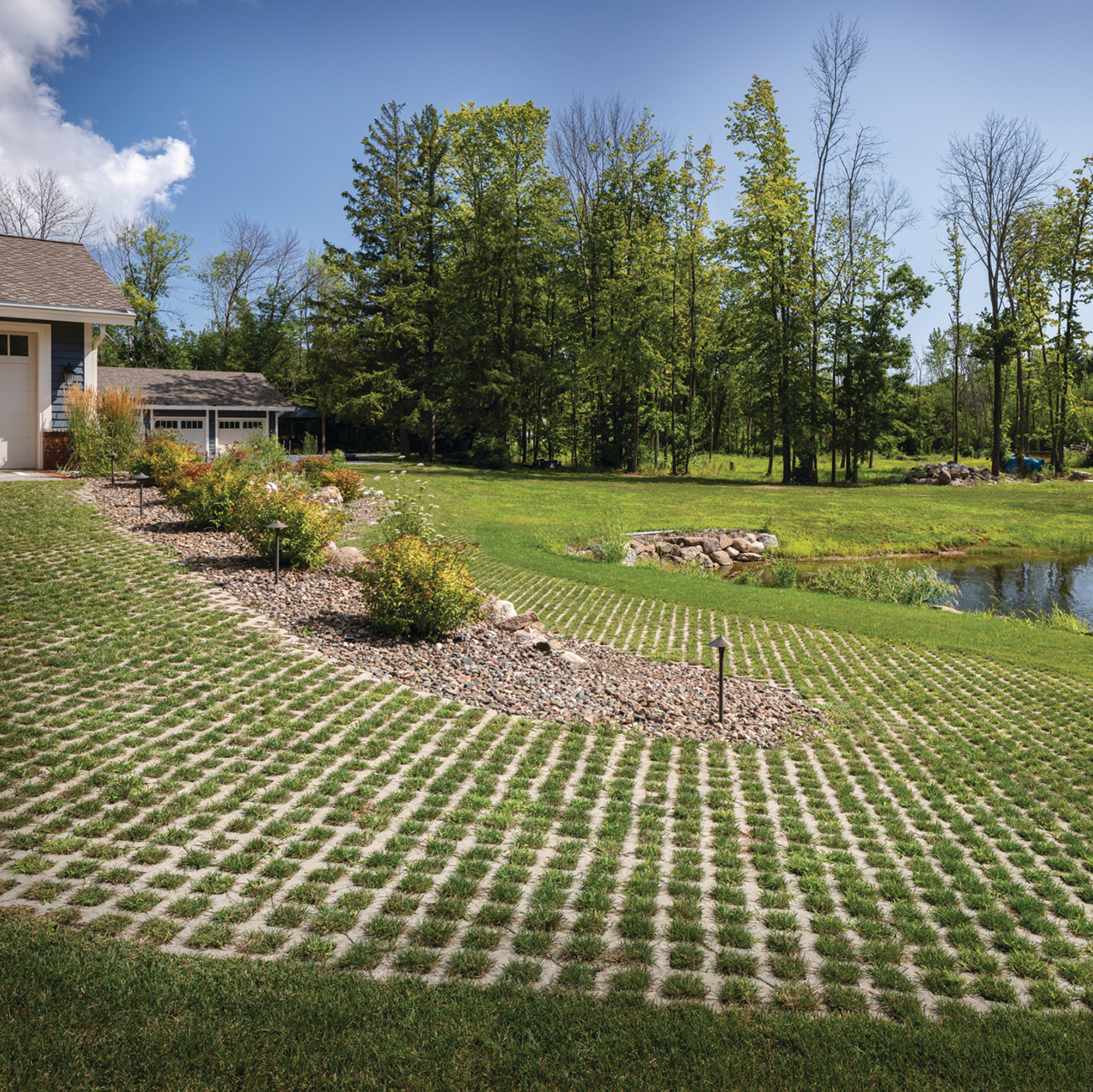 Turfstone_beauty005.png
