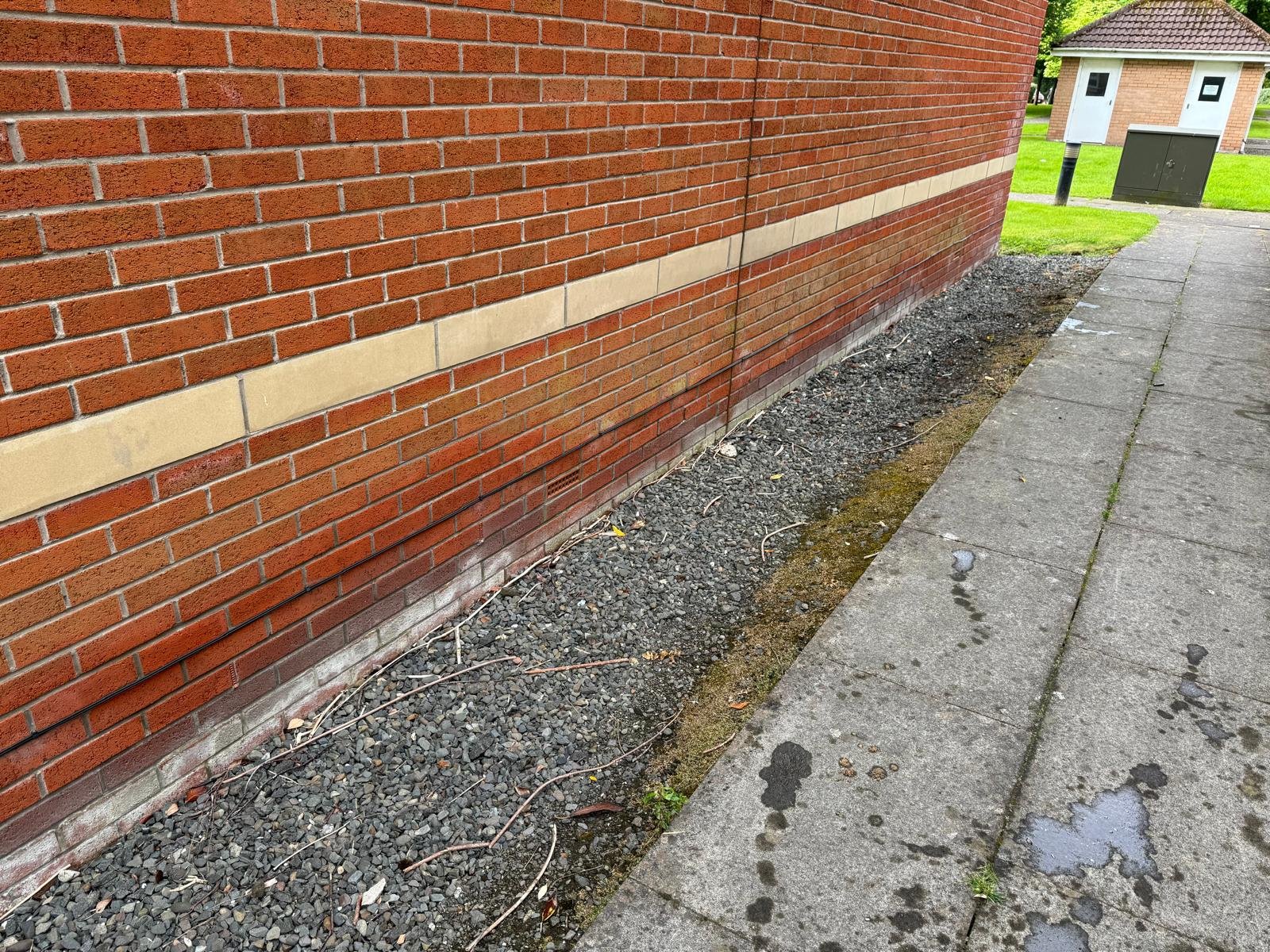 Clean Driveway with rubbish removed