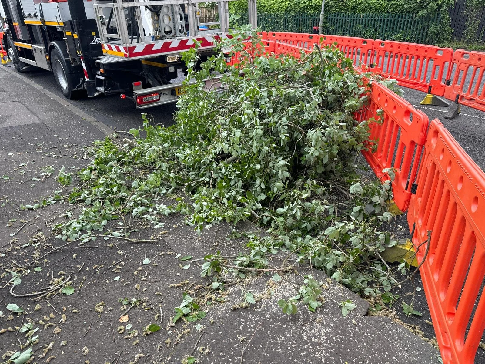 Large pile of green garden waste on road