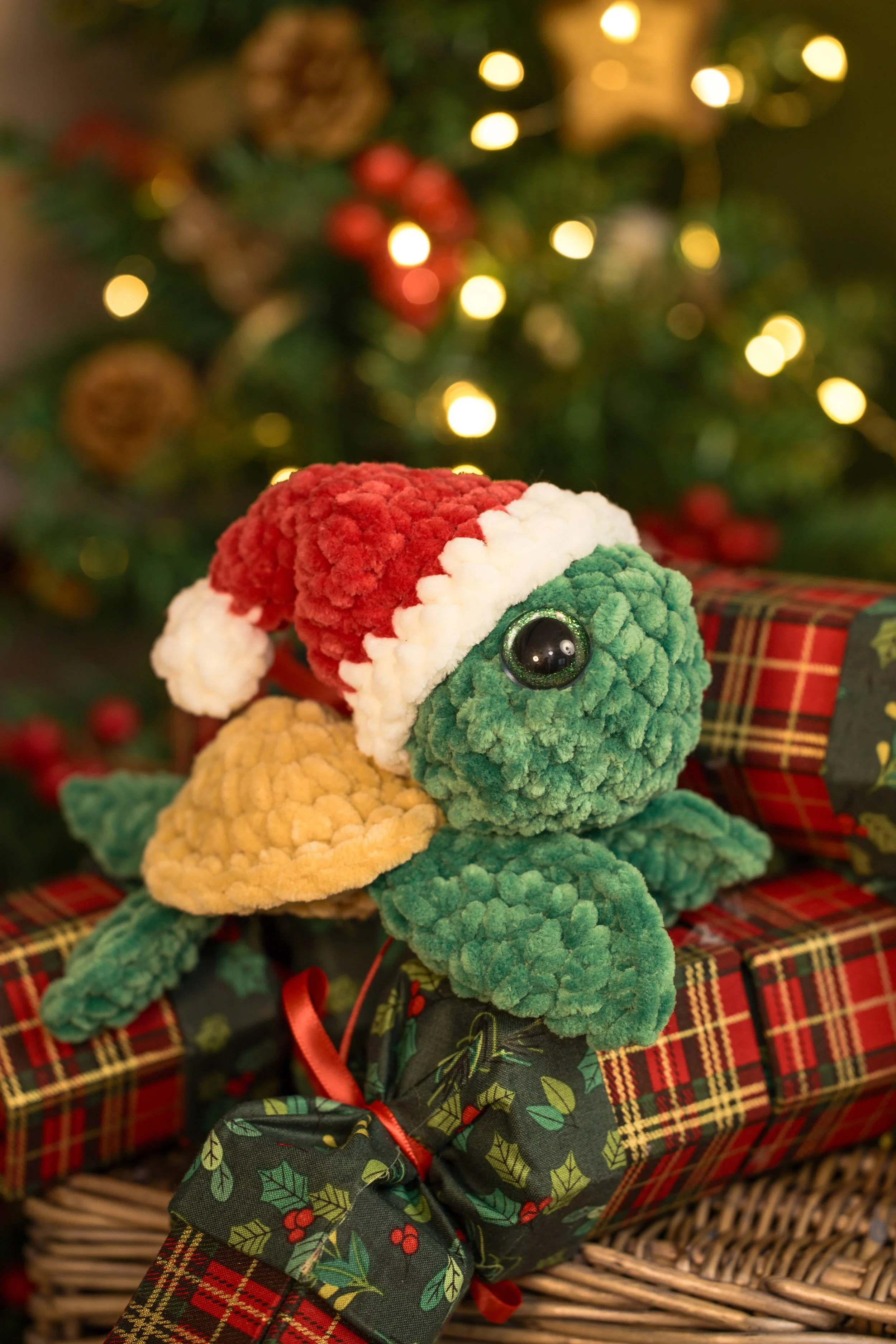 Sage the Turtle