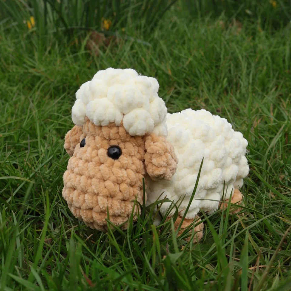 Wooly the Sheep