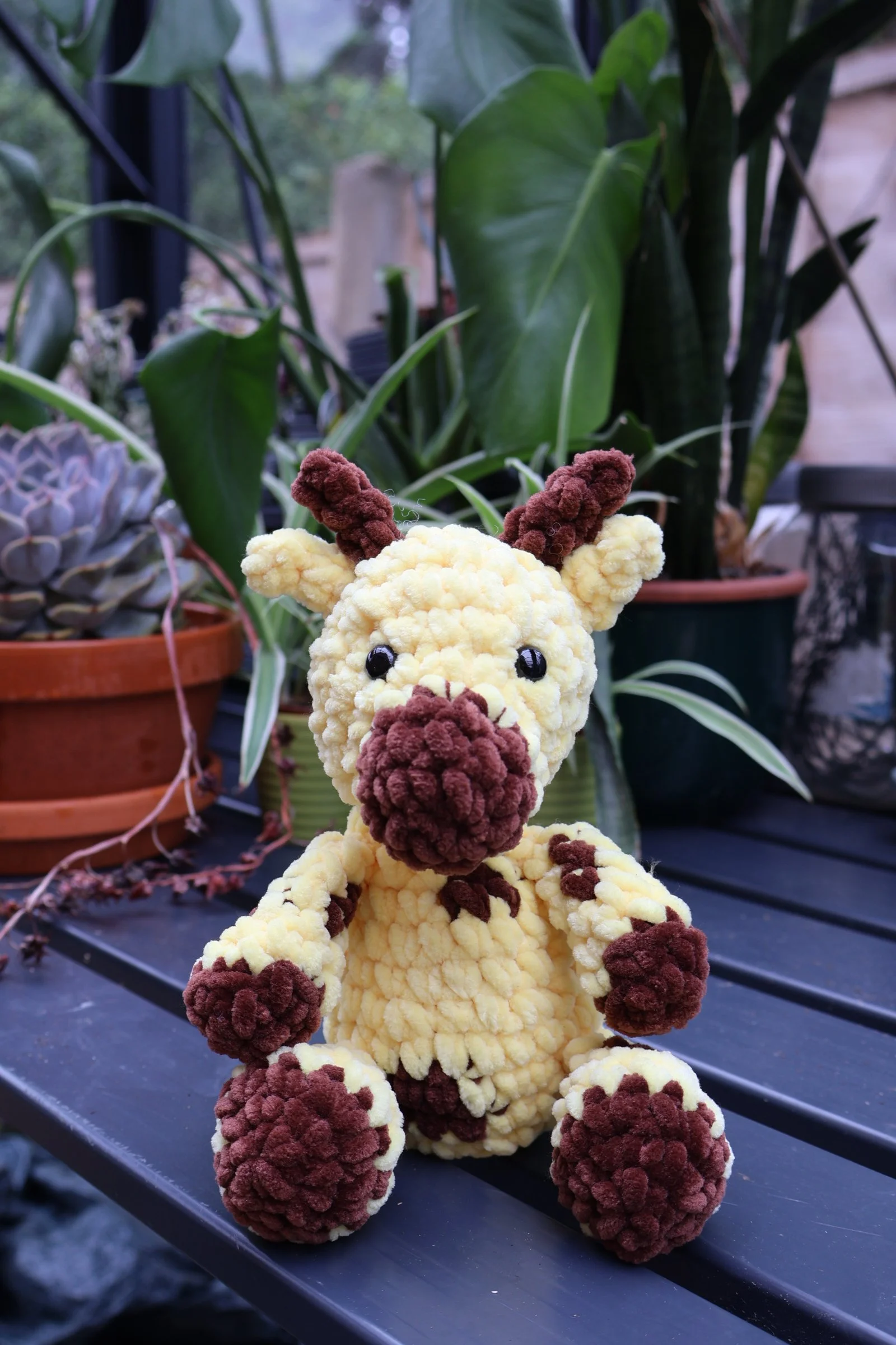 Giraffe Kit