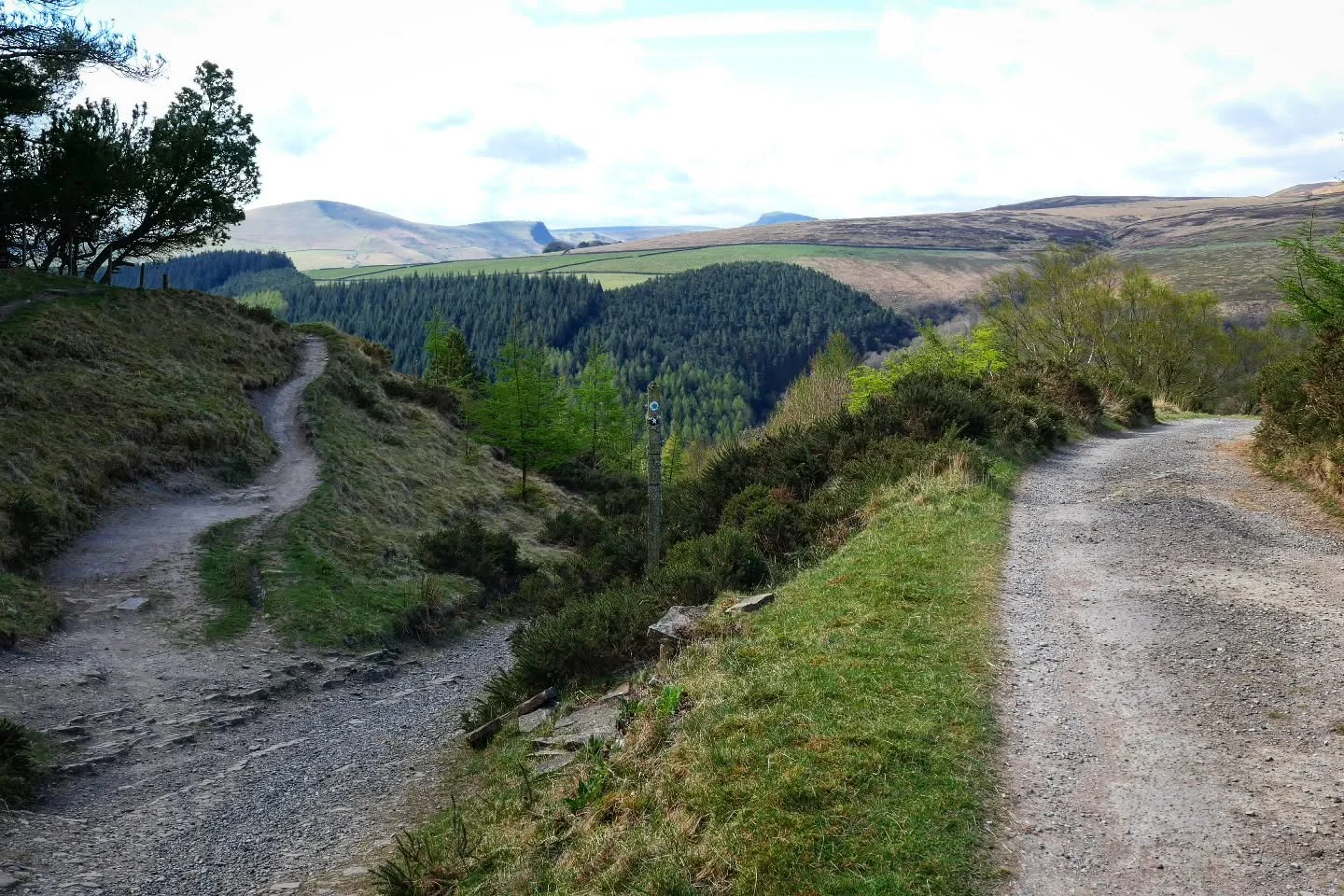 MTB or GRAVEL?
We saw a fairly even split between drop and flat bars on the first and second edition. 

What will you ride in 2026??

Let us know in the comments, and tell us why!

#tordivide #bikepacking #peakdistrictdivide #peakdistrict #gravel #mt