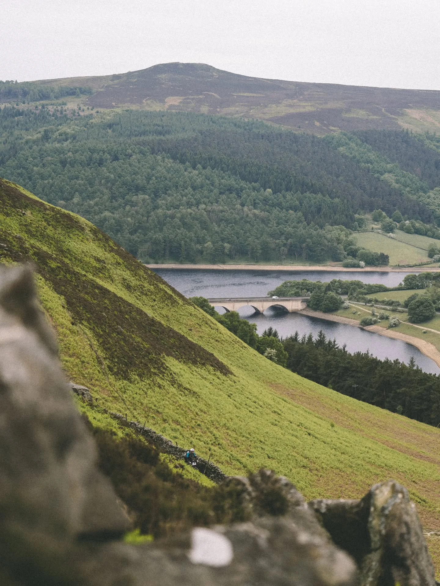 SPOT THE RIDER?
This is just one of the incredible views along the Tor Divide routes.
Make sure to take it all in.
See you in the Peak!

📸@samtaylorphotos 

Thanks to some amazing brands for their support
@schwalbetyresuk 
@tailfincycling 
@ciovita 