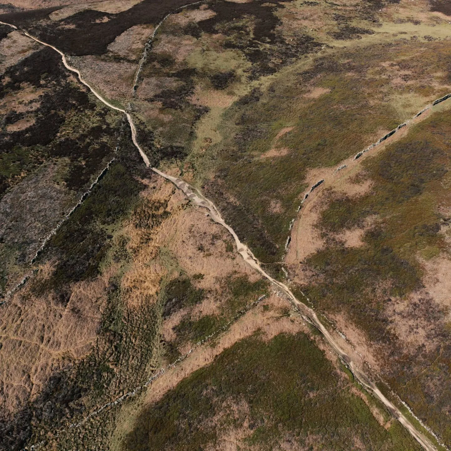 THE ROUTE FROM ABOVE.
A pale line of trail cutting across the moor. 
From up here it looks simple. It isn't!

📸@monsterdonltd

@schwalbetyresuk @tailfincycling @ciovita @beespokewheels_uk @genesisbikesuk