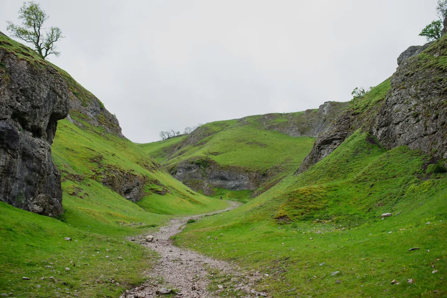 NARROW LINE, WIDE VALLEY
A green dale, a thin track and nowhere to hide. The Peak District doesn't need any help looking this good.

📸@bashtonphoto
@schwalbetyresuk @tailfincycling @ciovita @beespokewheels_uk @genesisbikesuk