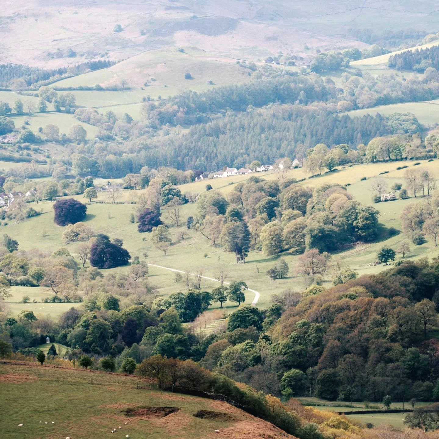 BIG WEEKEND, BIG VIEWS
Heather, gritstone and a valley that goes on forever. Keep pedalling and trust us, it only gets better!

📸@monsterdonltd
@schwalbetyresuk @tailfincycling @ciovita @beespokewheels_uk @genesisbikesuk