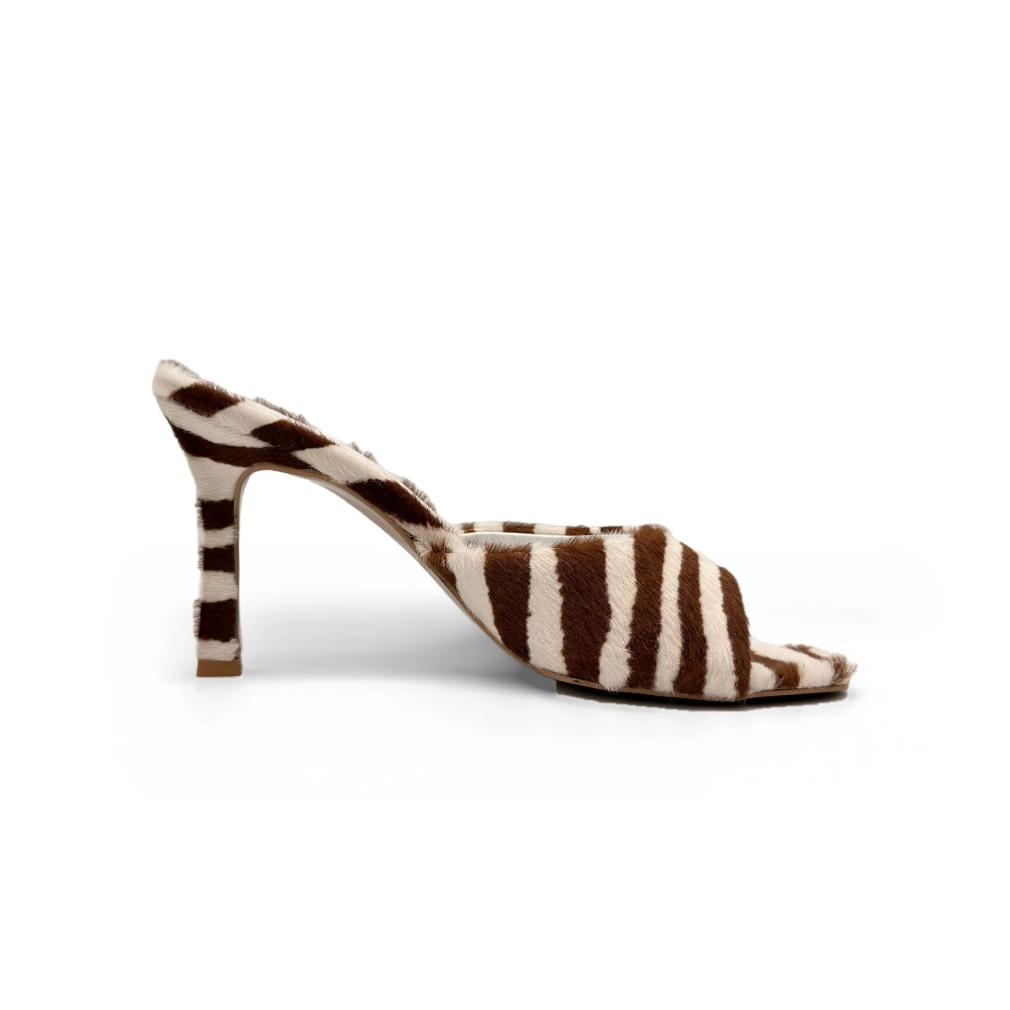 WA_zebra_mule_01.jpg