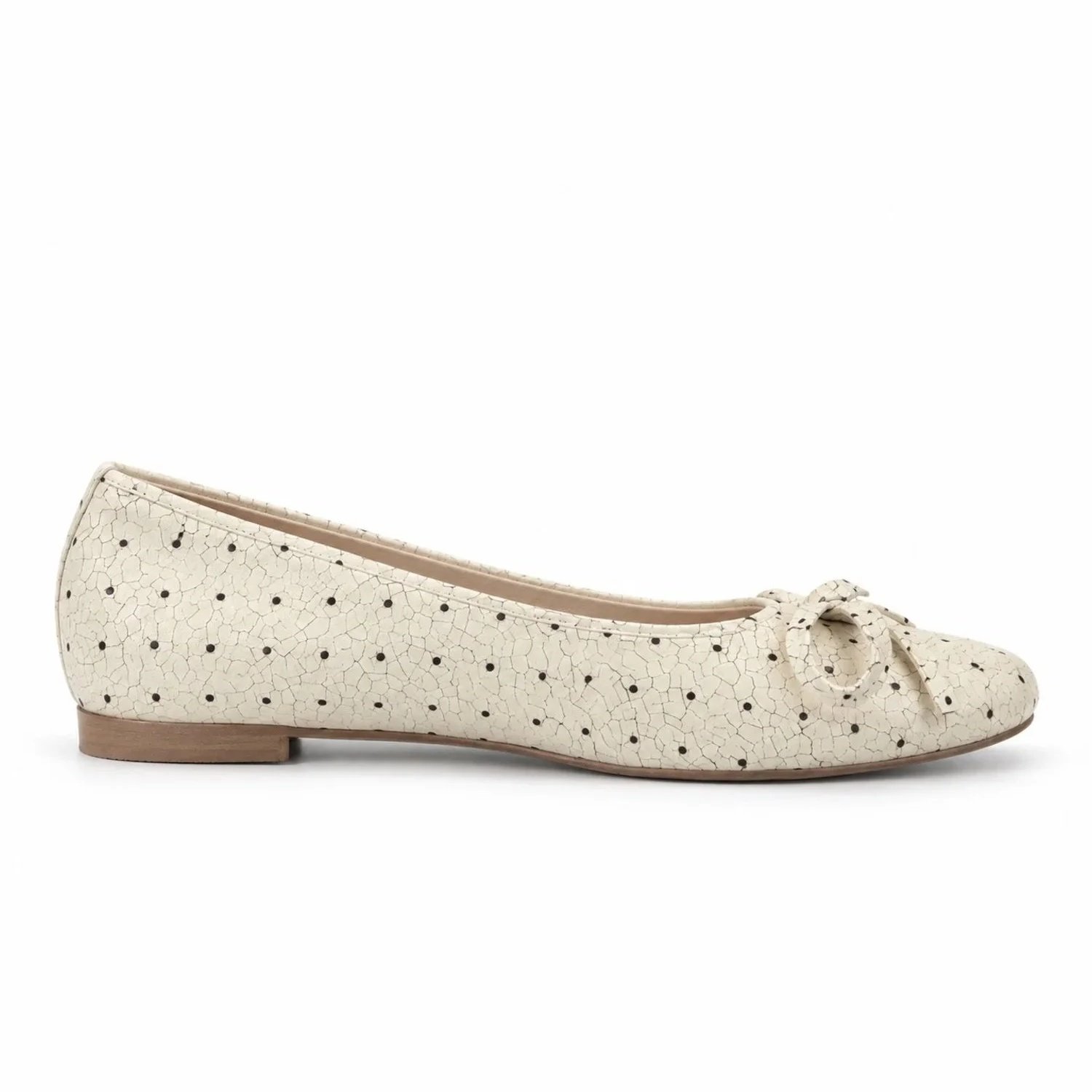 Ballet Flats in Fragile