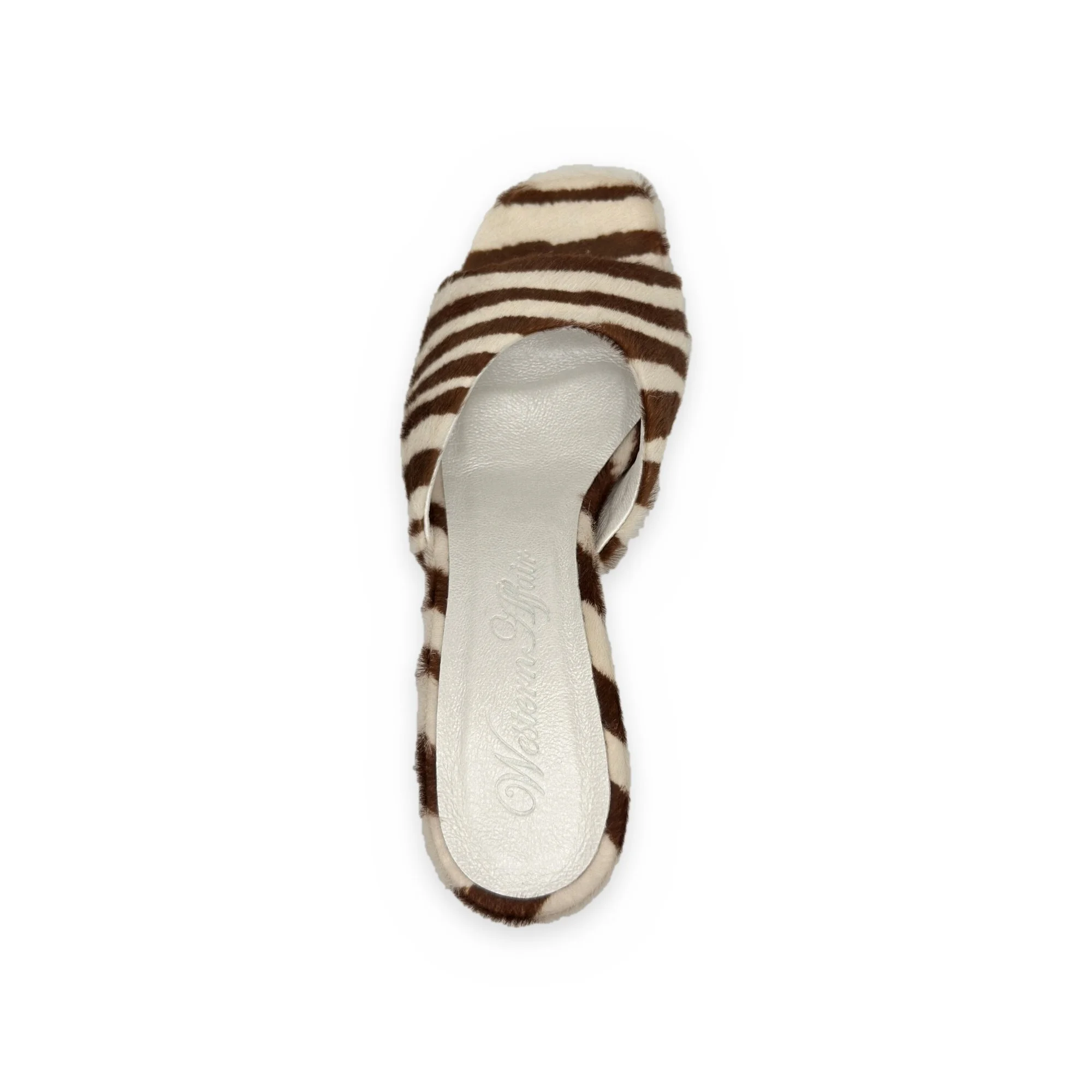 WA_zebra_mule_02.jpg