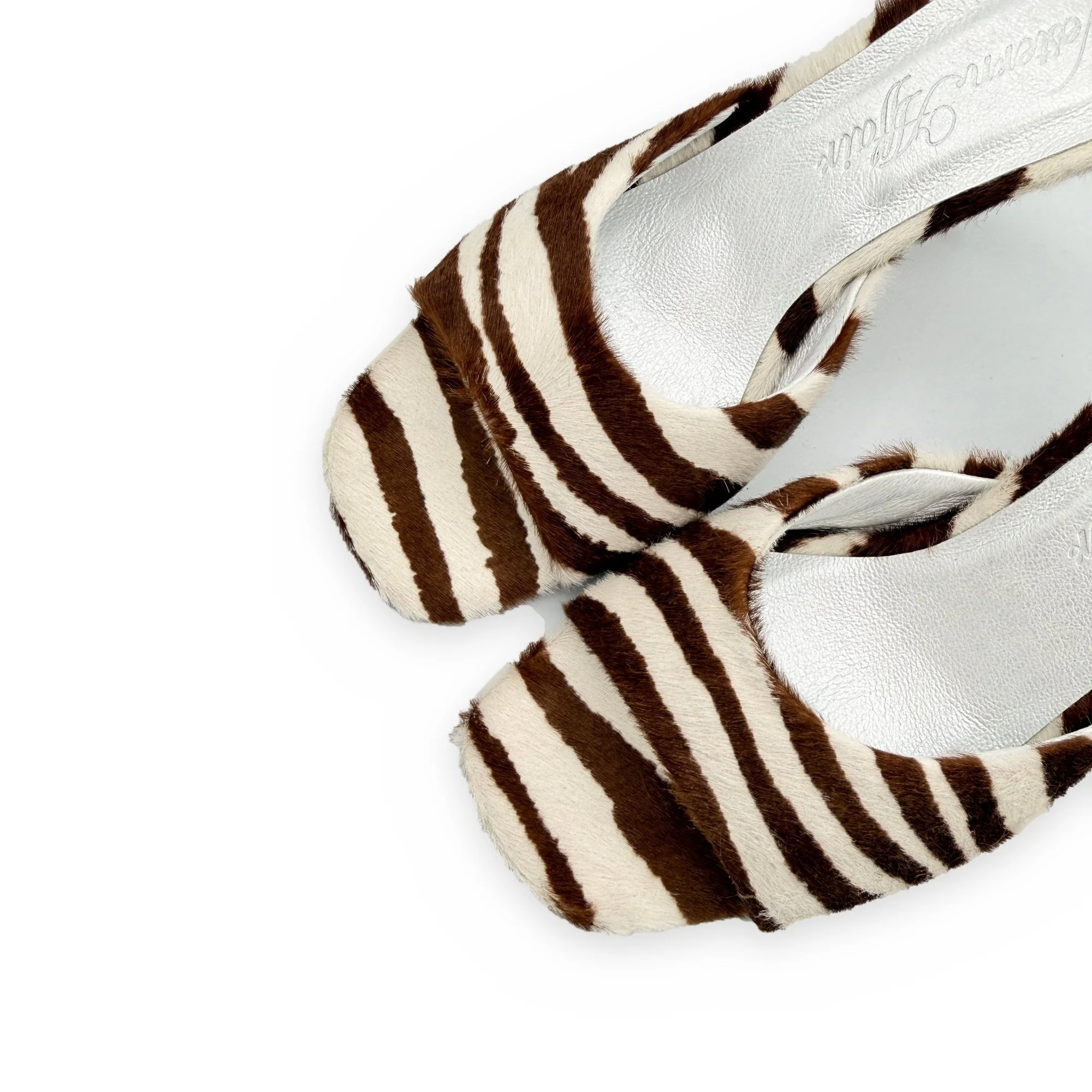 WA_zebra_mule_06.jpg