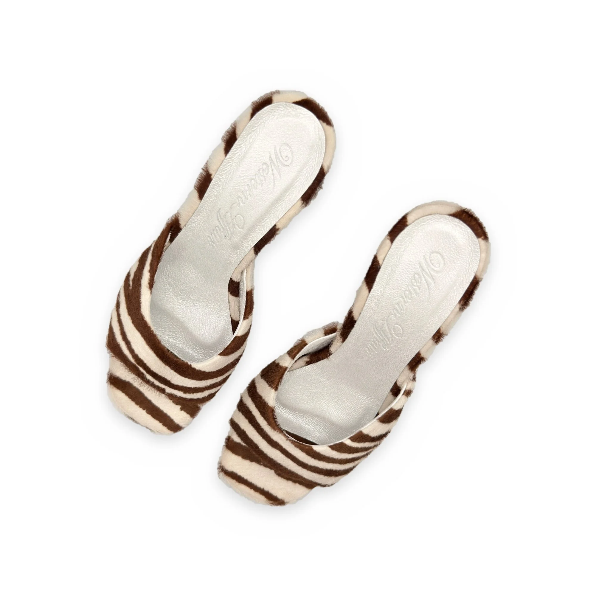 WA_zebra_mule_04.jpg