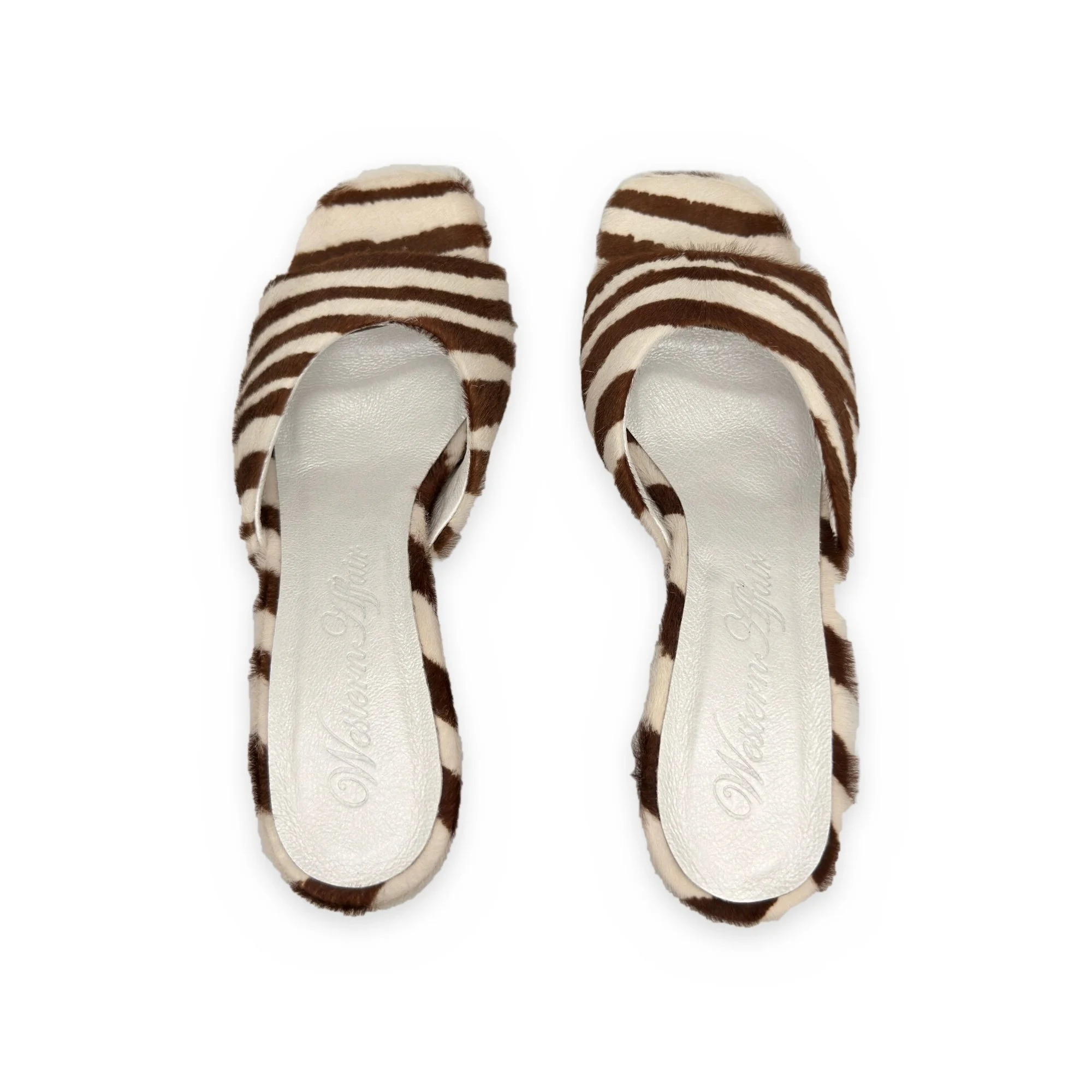 WA_zebra_mule_03.jpg