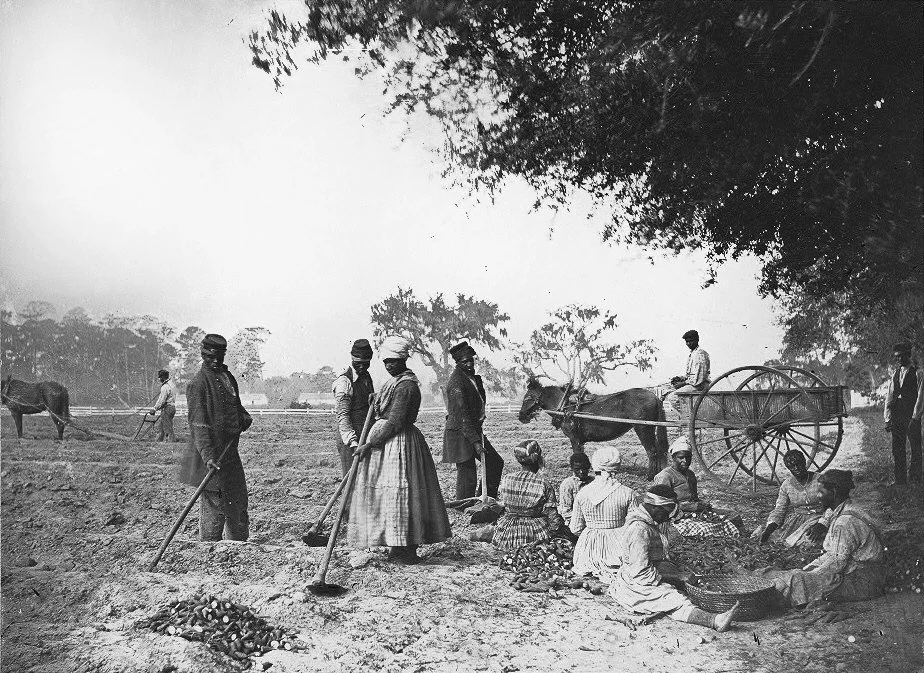 The Manumission Project