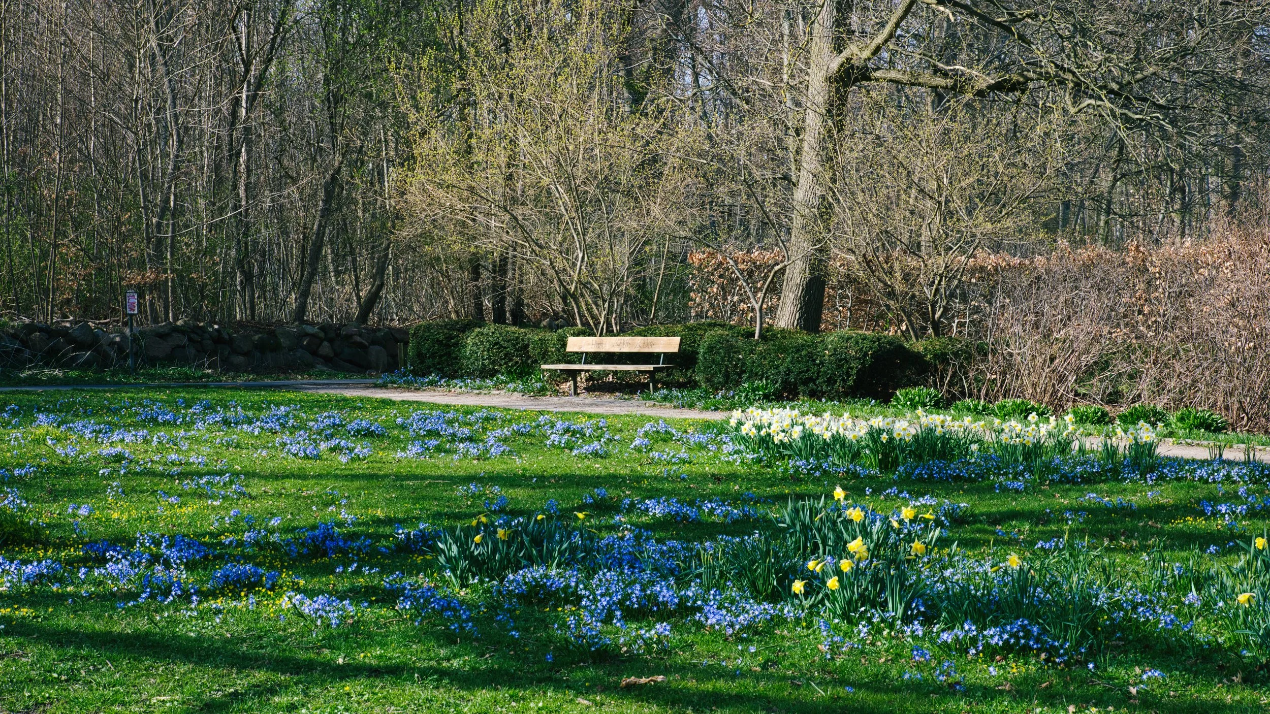 Crocus Corner - Geelshaven, Virum, Denmark