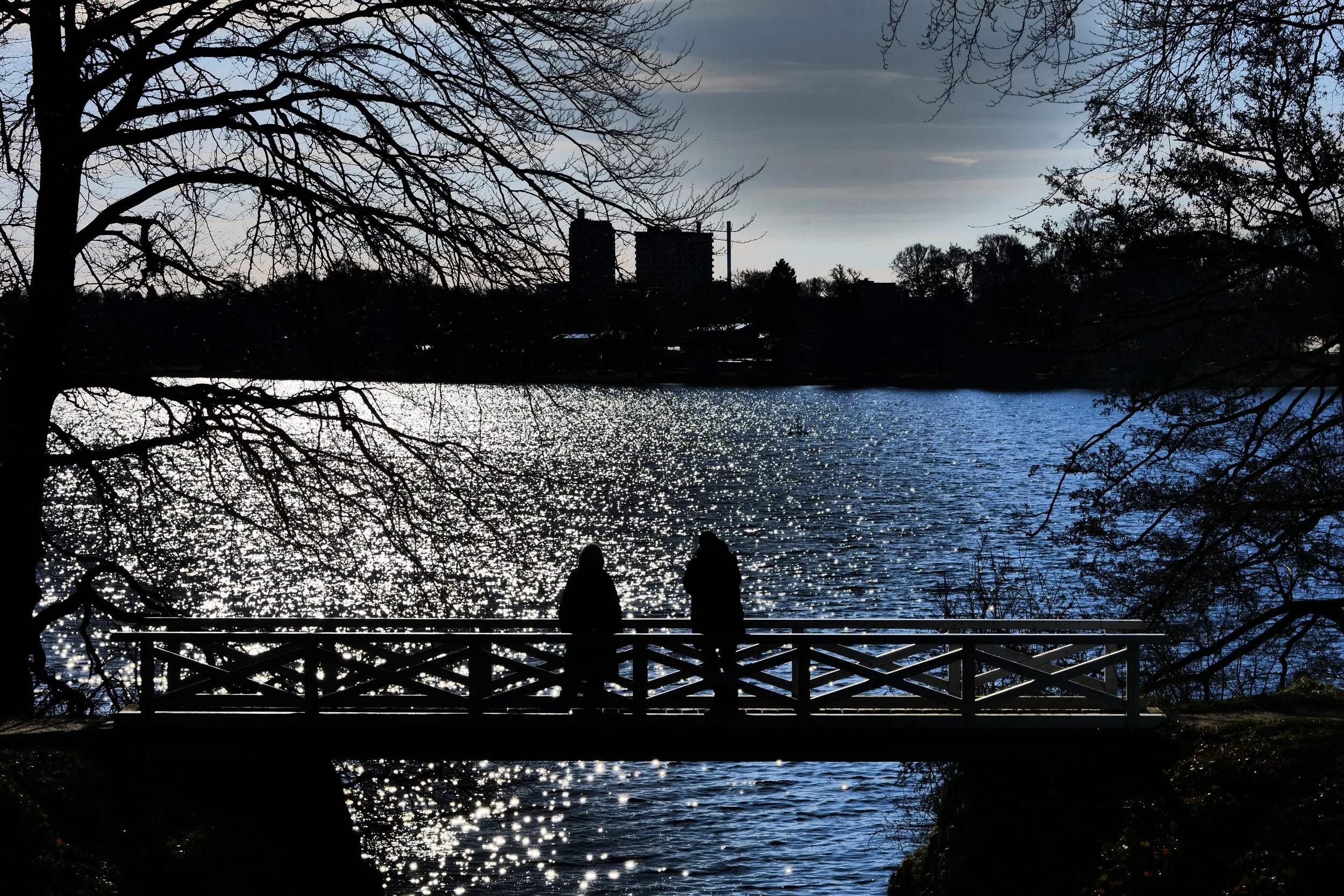 Bagsværd Lake and the district with the same name in the background as viewed from Sophienholm - Kgs. Lyngby, Denmark