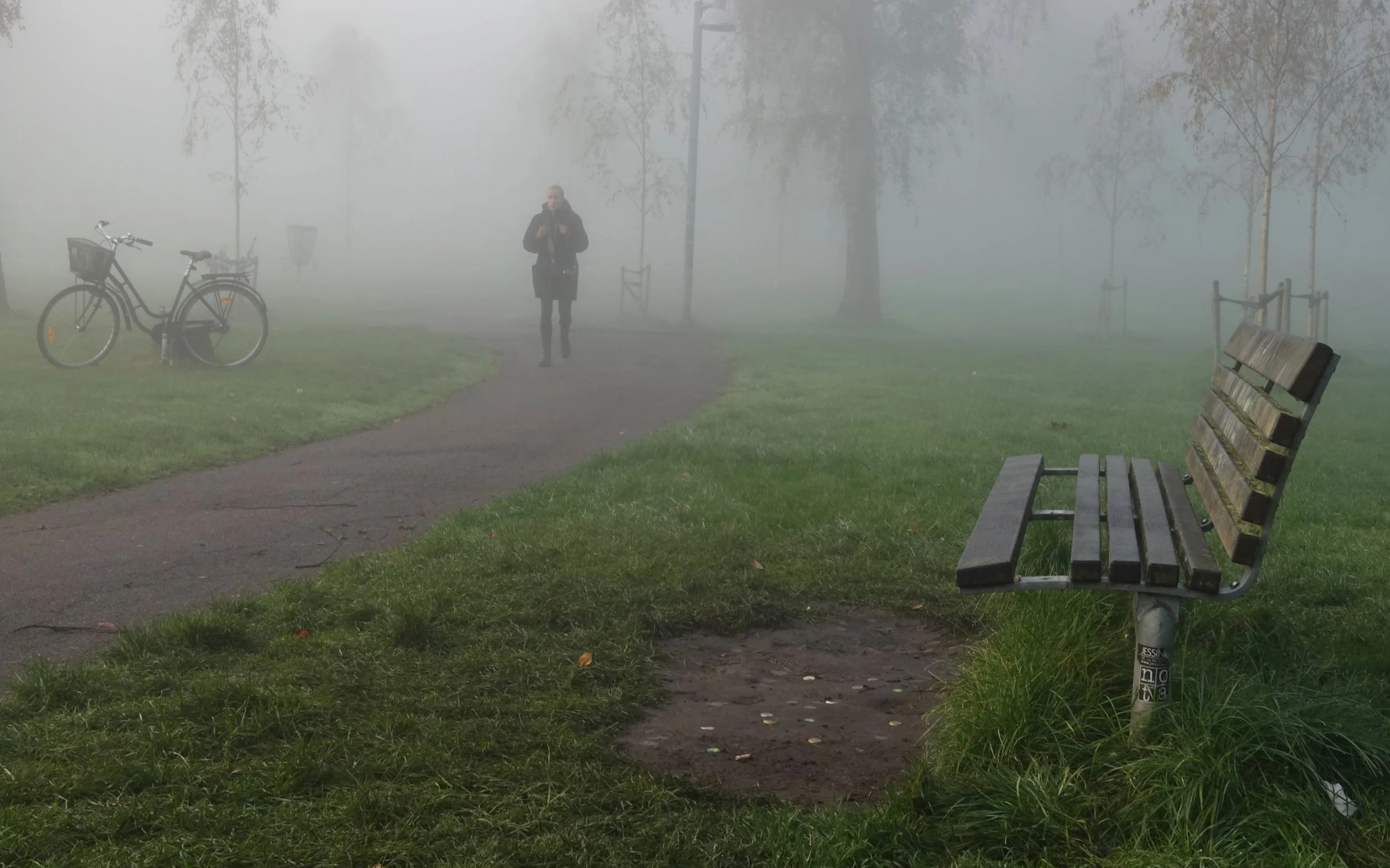 Foggy Start to the Day - Virumparken, Virum, Denmark