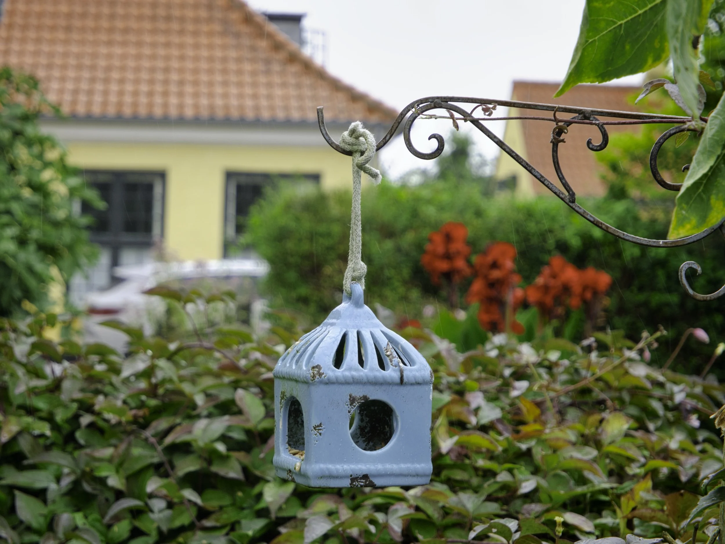 Blue Bird Feeder - Vallø, Denmark
