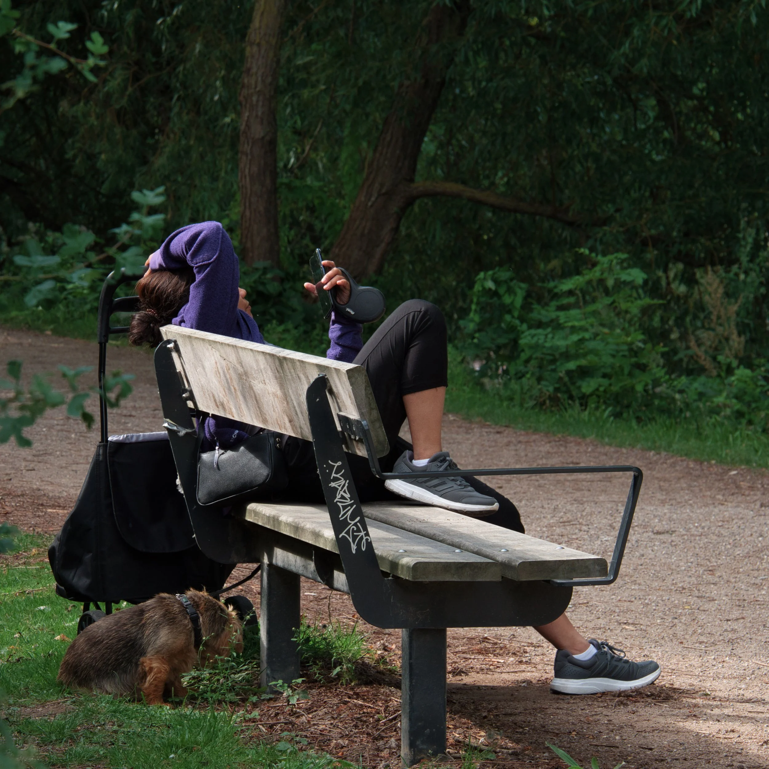 Who's Got Her Attention - Gentofte Søpark, Gentofte, Denmark