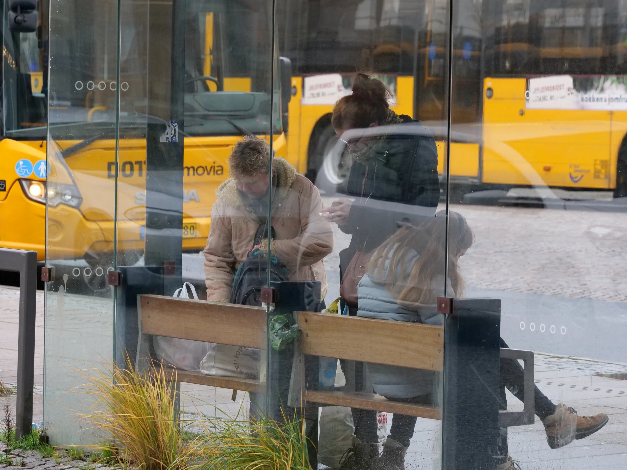 Looking for a Bus Pass - Lyngby Station, Kongens Lyngby, Denmark