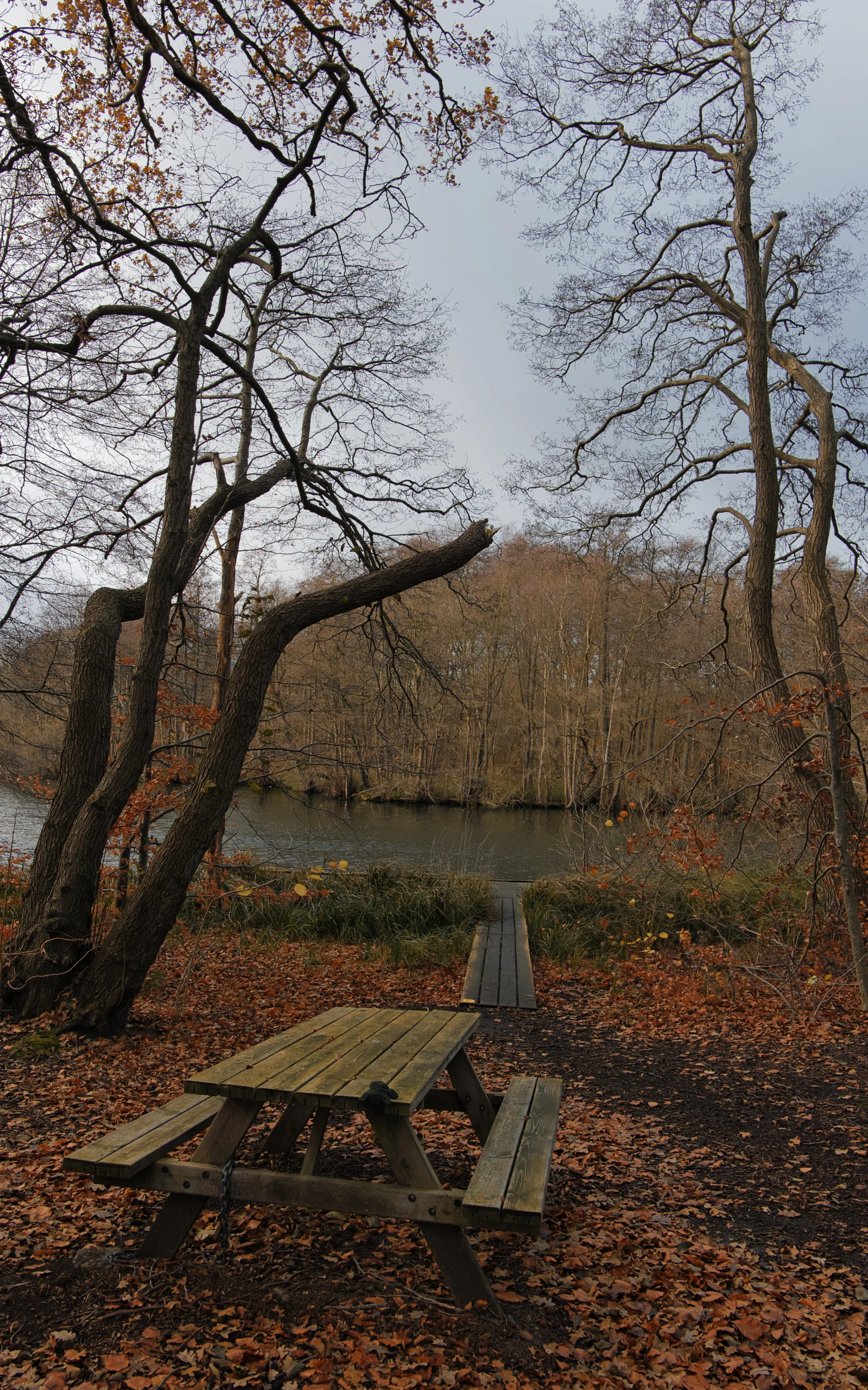 Fall Colours - Bistrup, Denmark